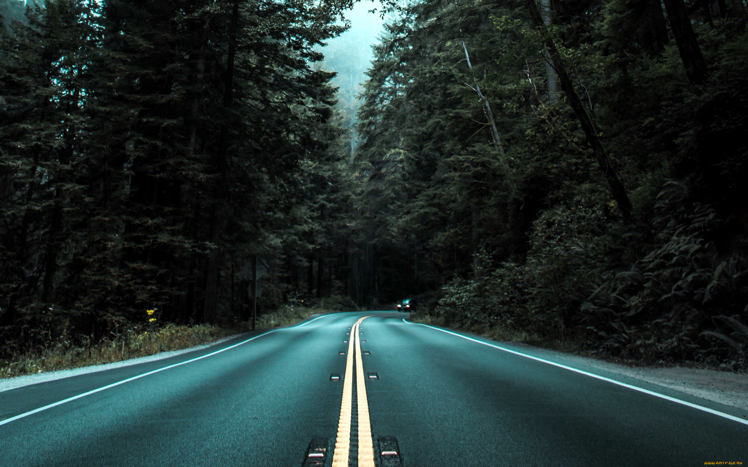 природа, дороги, шоссе