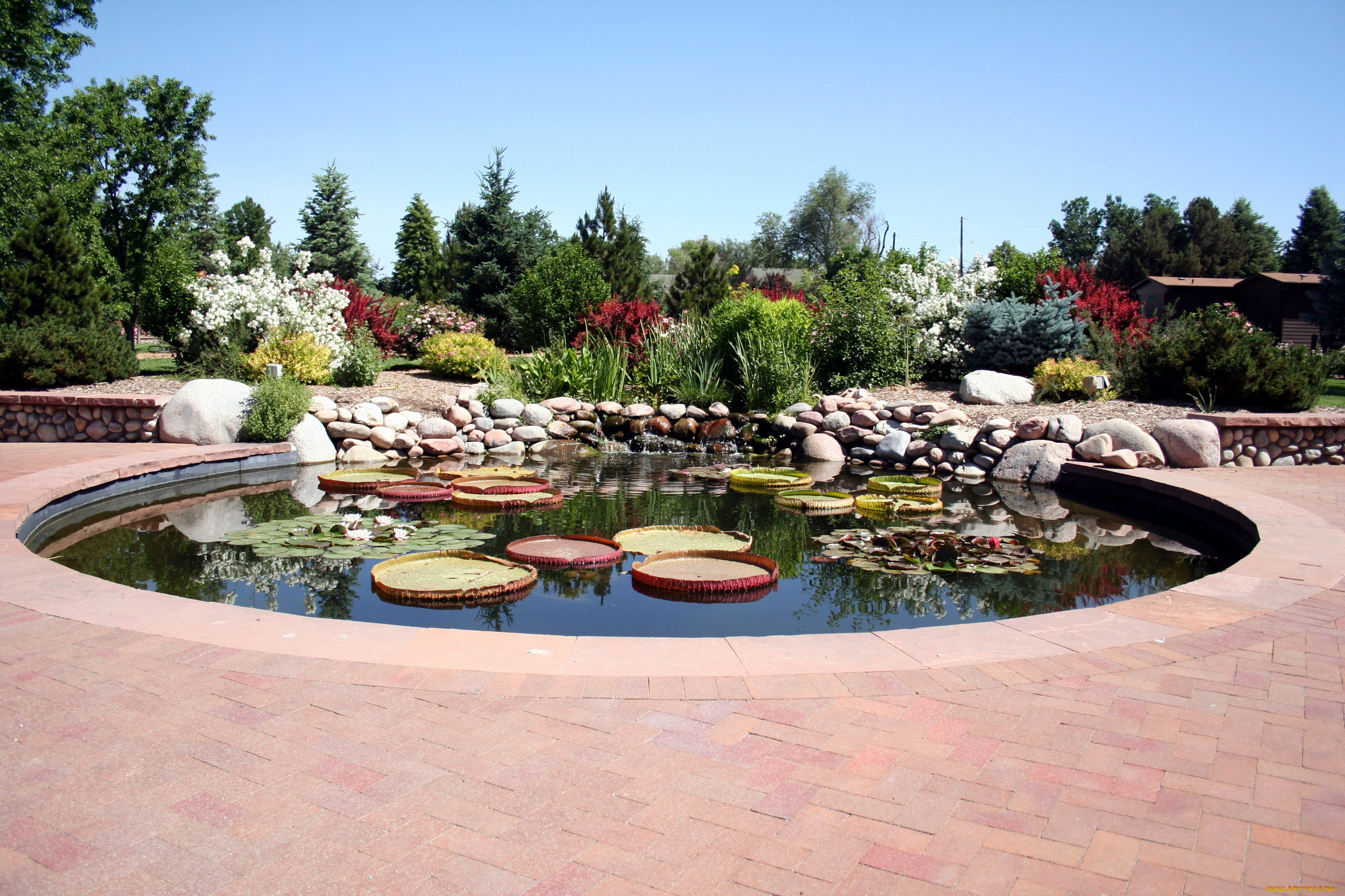 природа, парк, камни, пруд