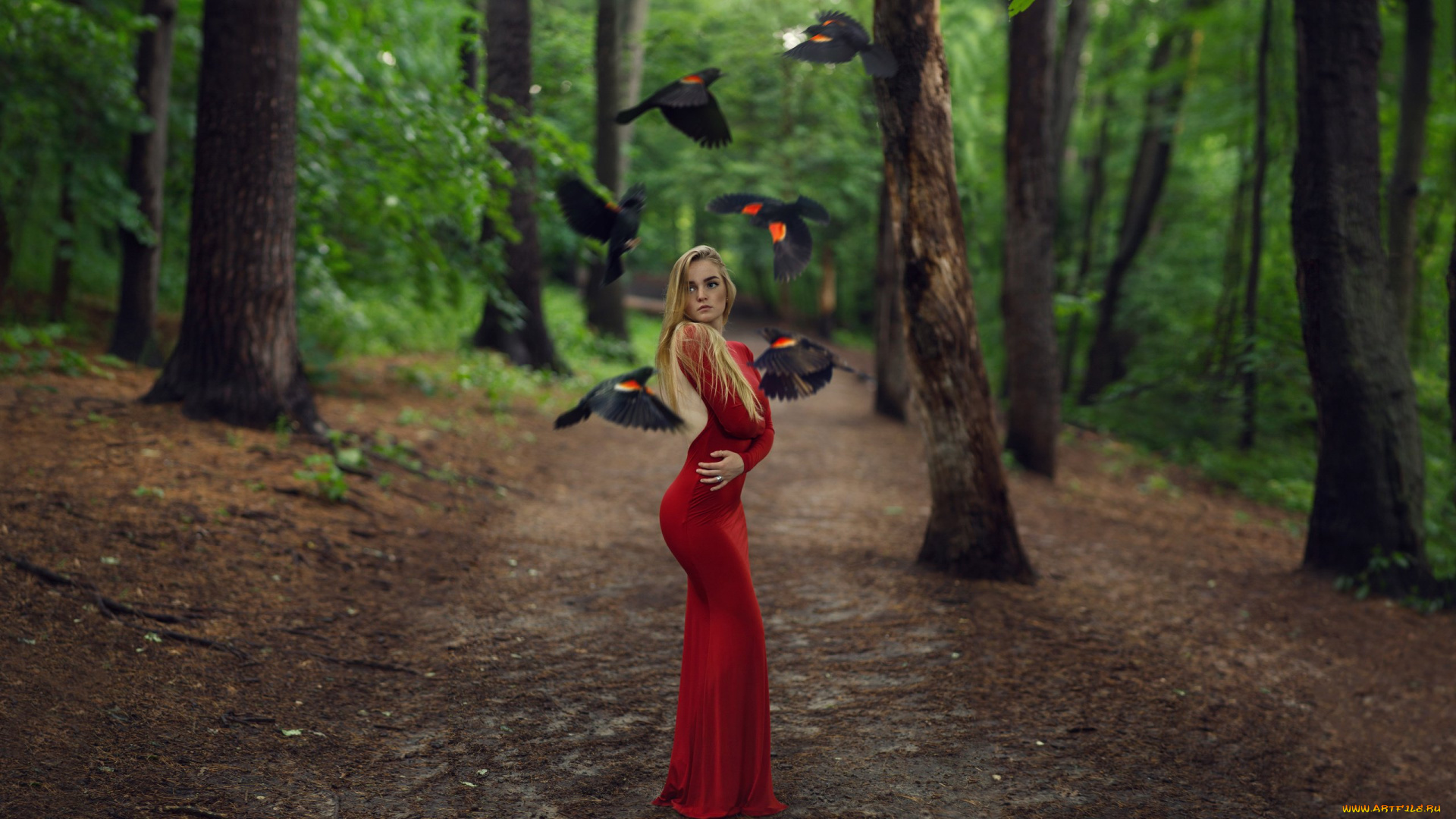 девушка, в, красном, белье, девушки, -, блондинки, , светловолосые, девушка, красивая, супер, секси, няша, нежная, классная, модница, лапочка, мадам