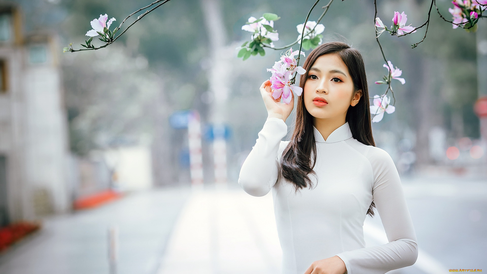 тяночки, девушки, -, азиатки, девушка, красивая, супер, секси, няша, нежная, классная, модница, лапочка, мадам