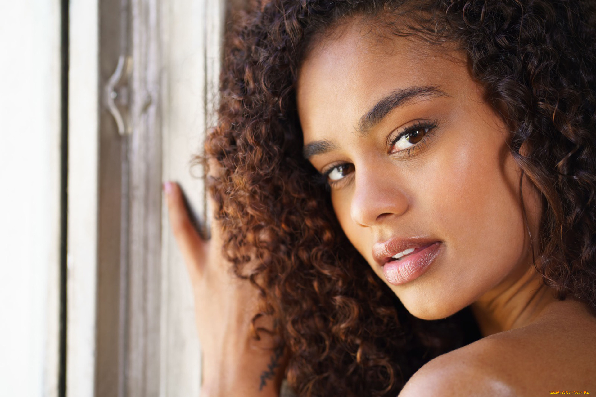 scarlit, scandal, девушки, scarlit, scandal, портрет, лицо, причёска, девушка, модель, брюнетка, мулатка, темнокожая, чернокожая, красотка, флирт