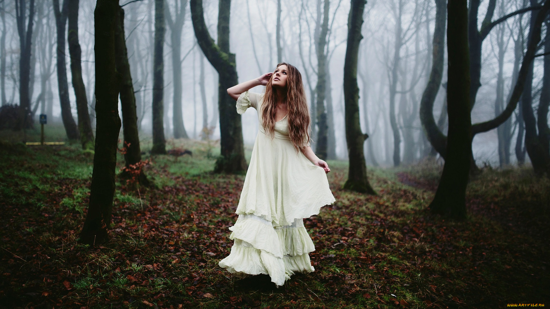 девушки, -, брюнетки, , шатенки, русая, платье, лес, туман