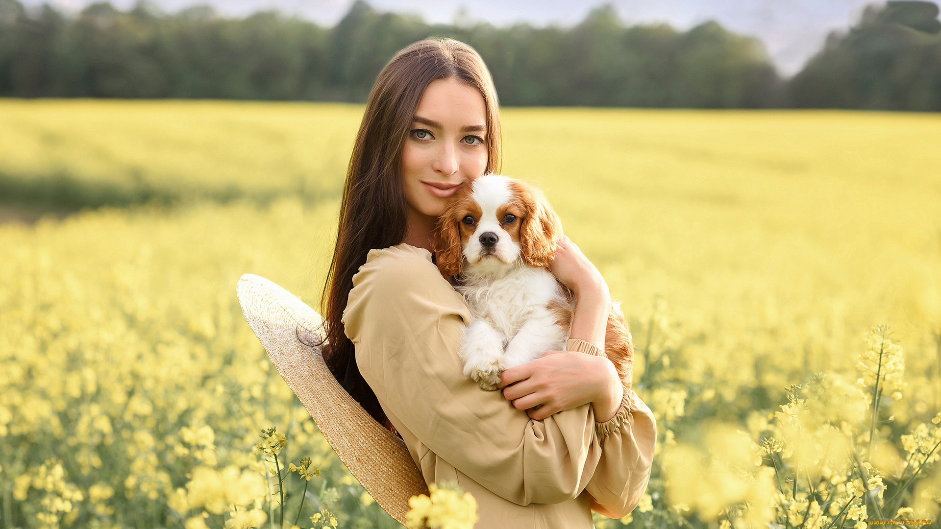 девушки, -, брюнетки, , шатенки, шатенка, шляпа, улыбка, собачка