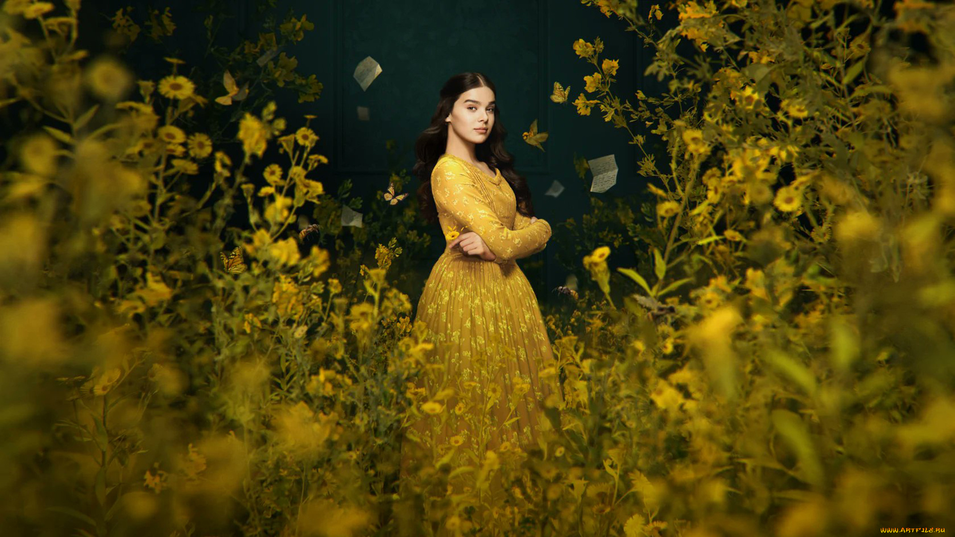 dickinson, , сериал, 2019, –, , кино, фильмы, -unknown, , другое, emily, dickinson, хэйли, стэнфилд, биография, драма, комедия, кадры, из, фильма, дикинсон