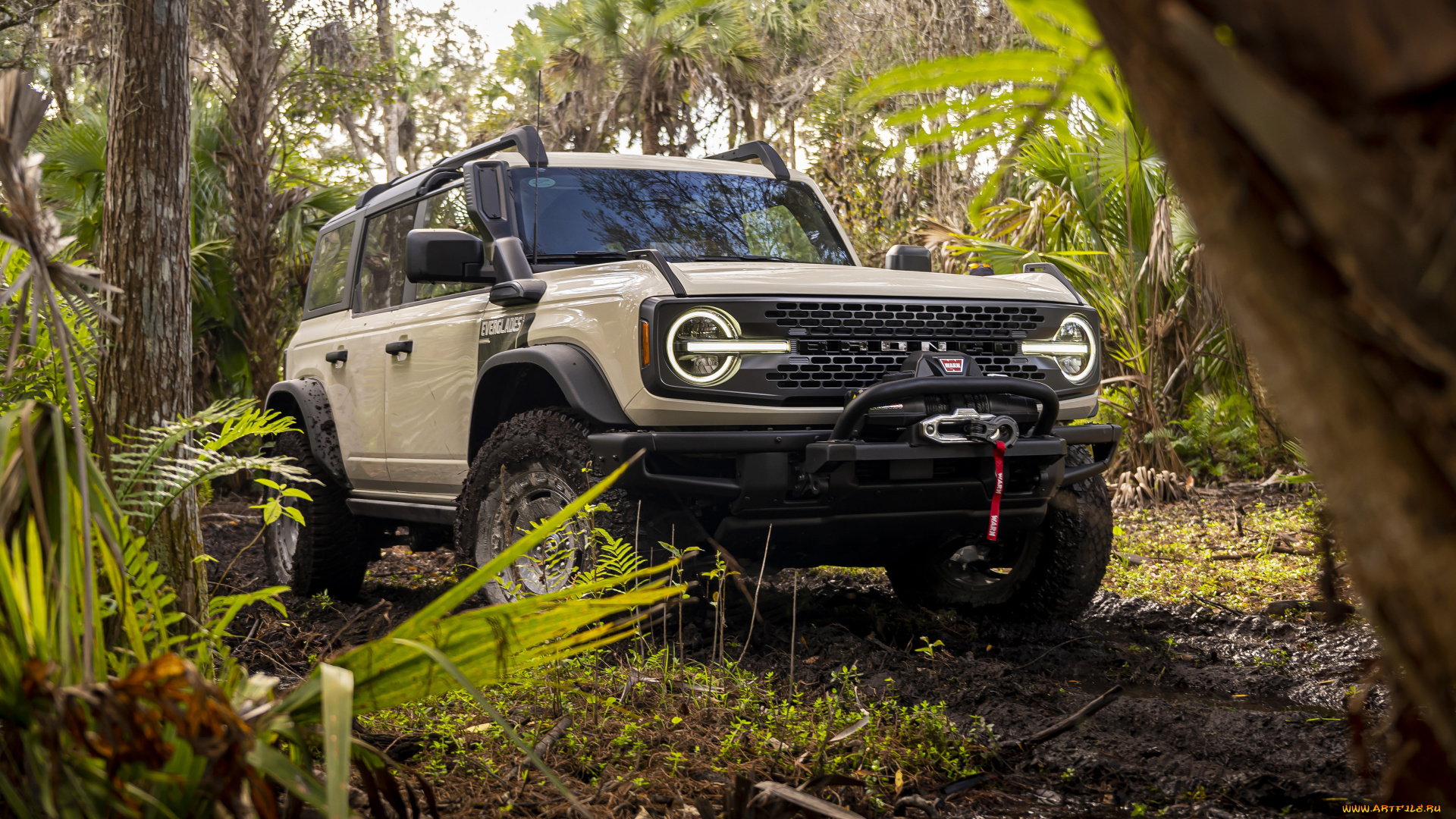 автомобили, ford, 2022, форд, бронко, 4к, вид, спереди, экстерьер, эверглейдс, внедорожник, коричневый, американские, джунгли