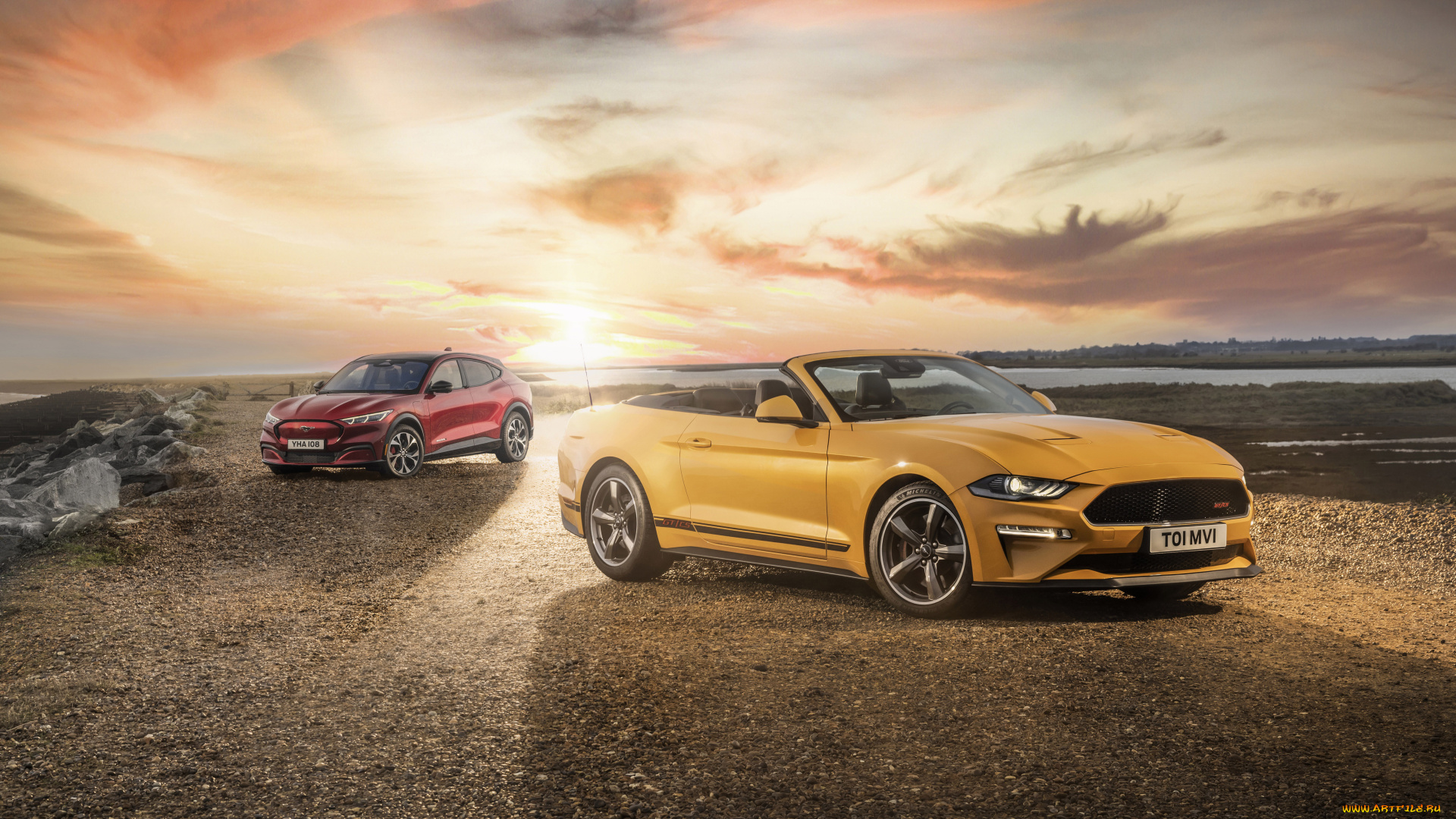 автомобили, mustang