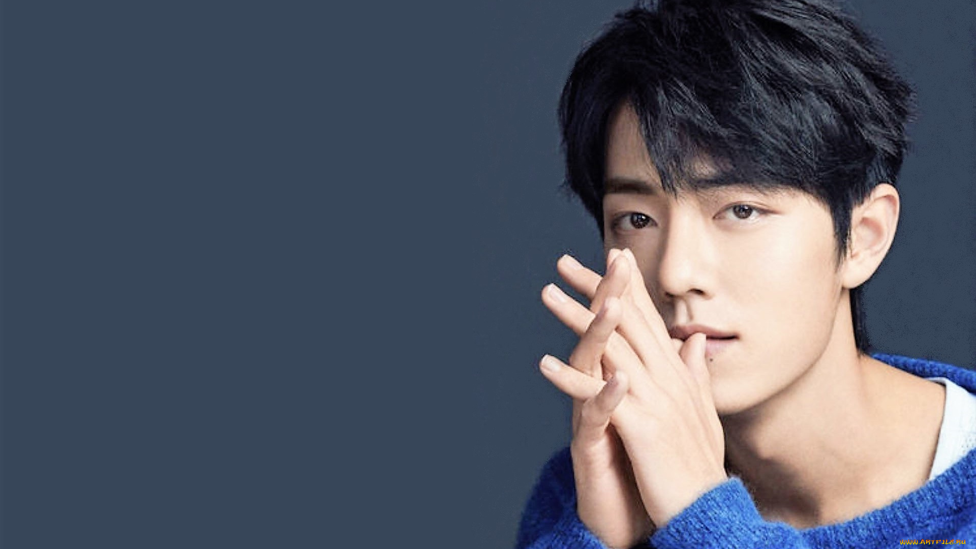 мужчины, xiao, zhan, актер, лицо, свитер