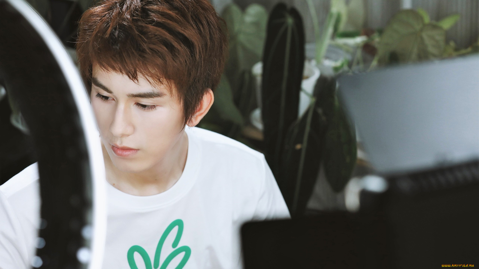 мужчины, zhu, zanjin, актер, лицо, цветы