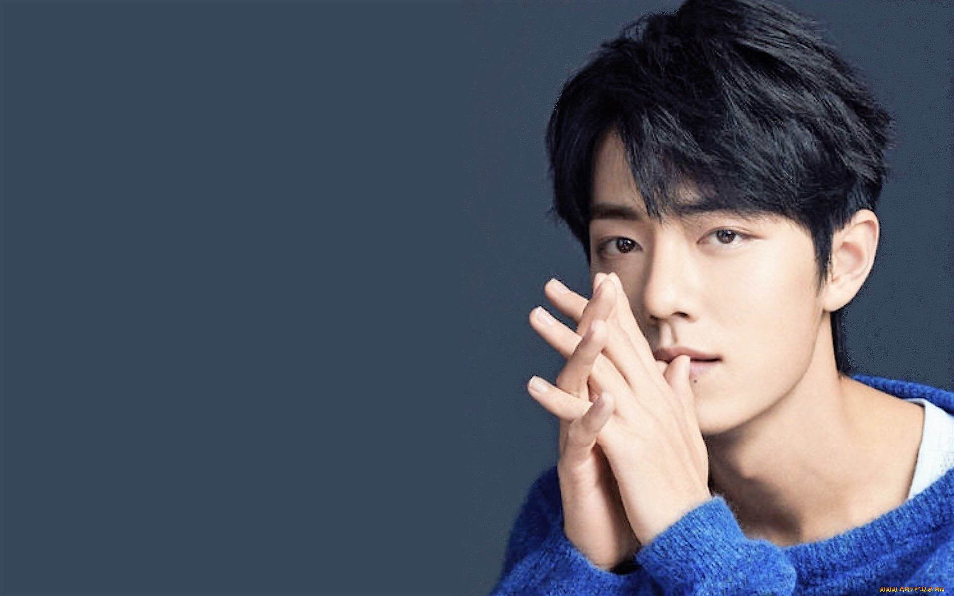 мужчины, xiao, zhan, актер, лицо, свитер