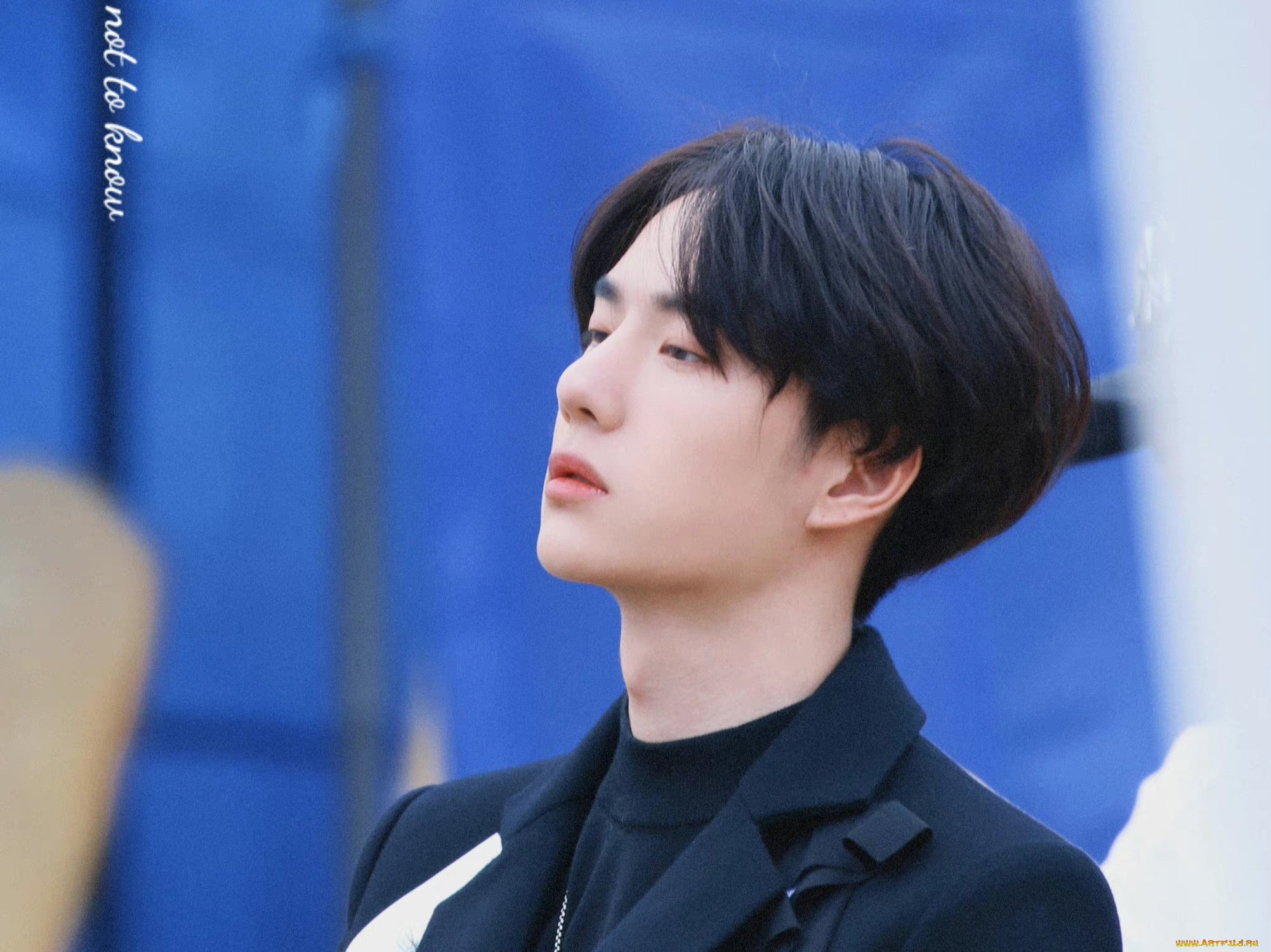 мужчины, wang, yi, bo, ван, ибо