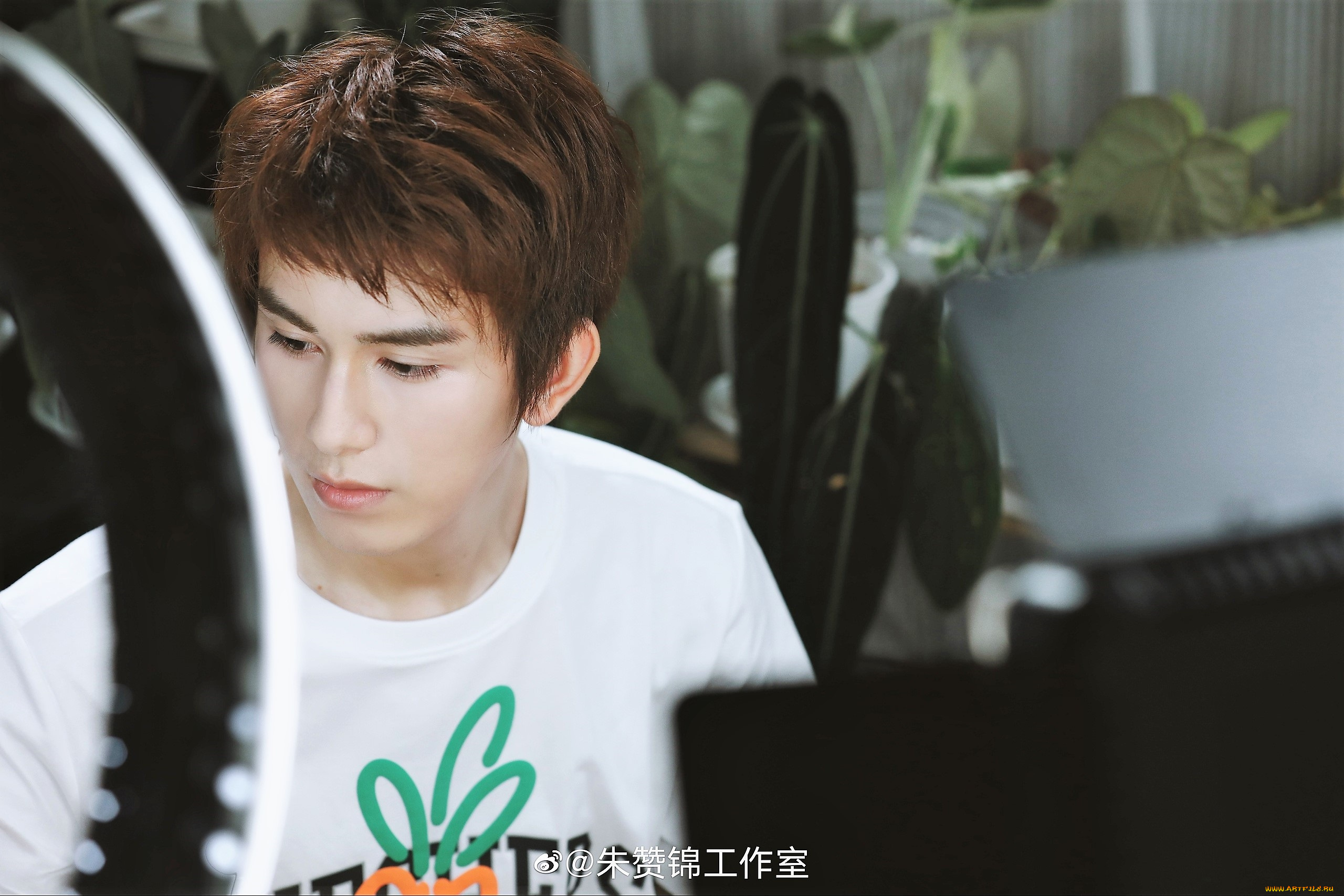 мужчины, zhu, zanjin, актер, лицо, цветы