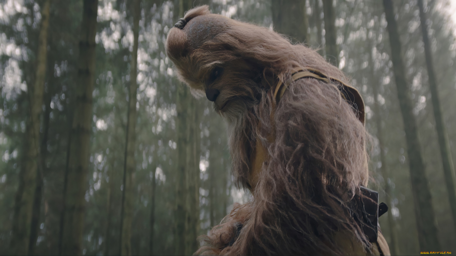 the, acolyte, , сериал, 2024, –, , кино, фильмы, сериал, joonas, suotamo, kelnacca, the, acolyte, сeриал, фантастика, боевик, драма, детектив, фэнтези, disney