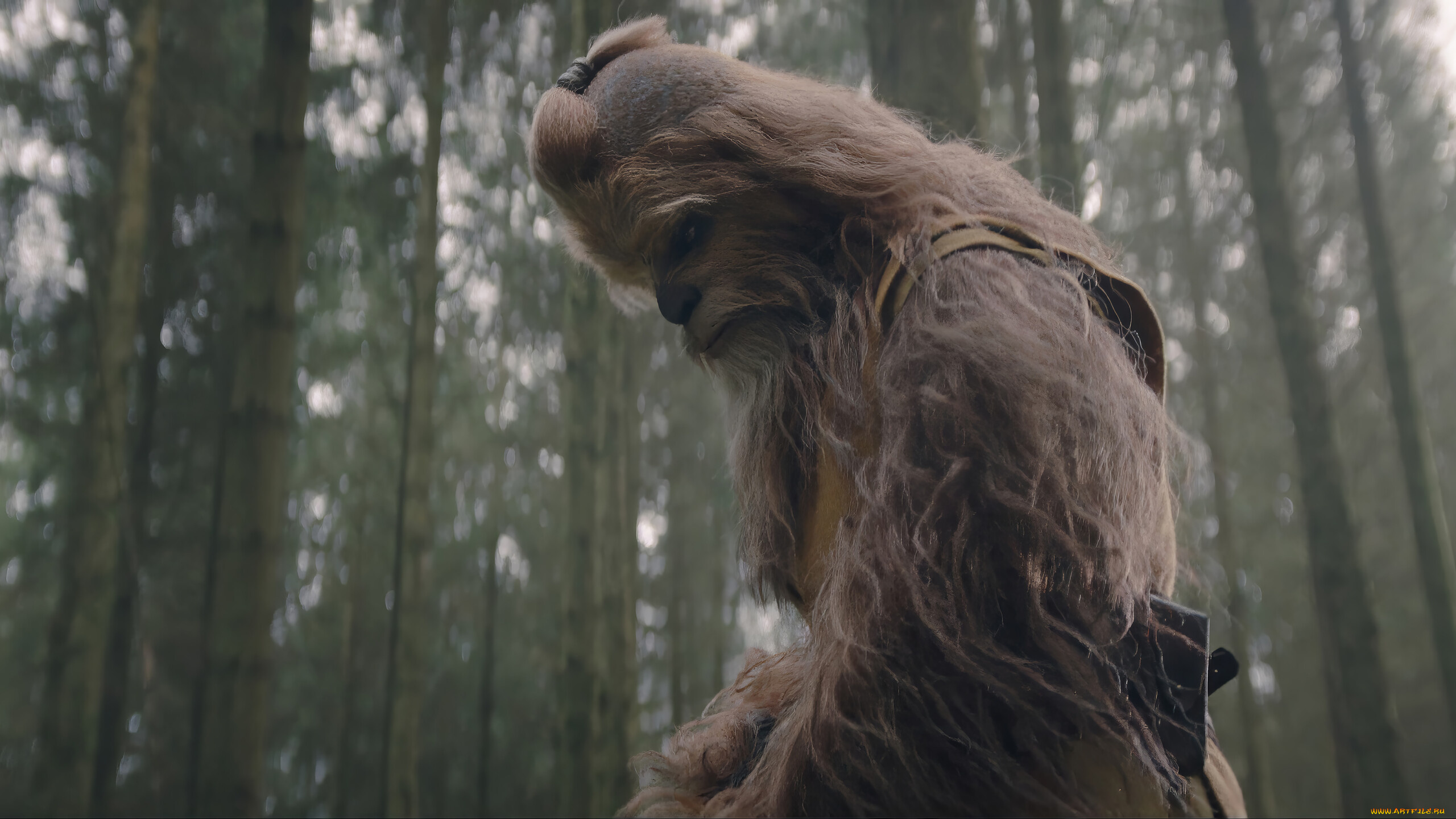 the, acolyte, , сериал, 2024, –, , кино, фильмы, сериал, joonas, suotamo, kelnacca, the, acolyte, сeриал, фантастика, боевик, драма, детектив, фэнтези, disney