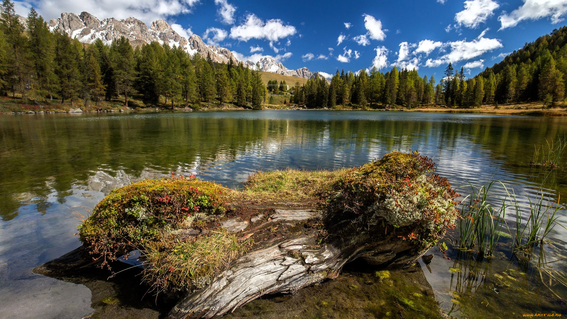 природа, реки, озера, лес, горы, облака, небо, озеро, коряга