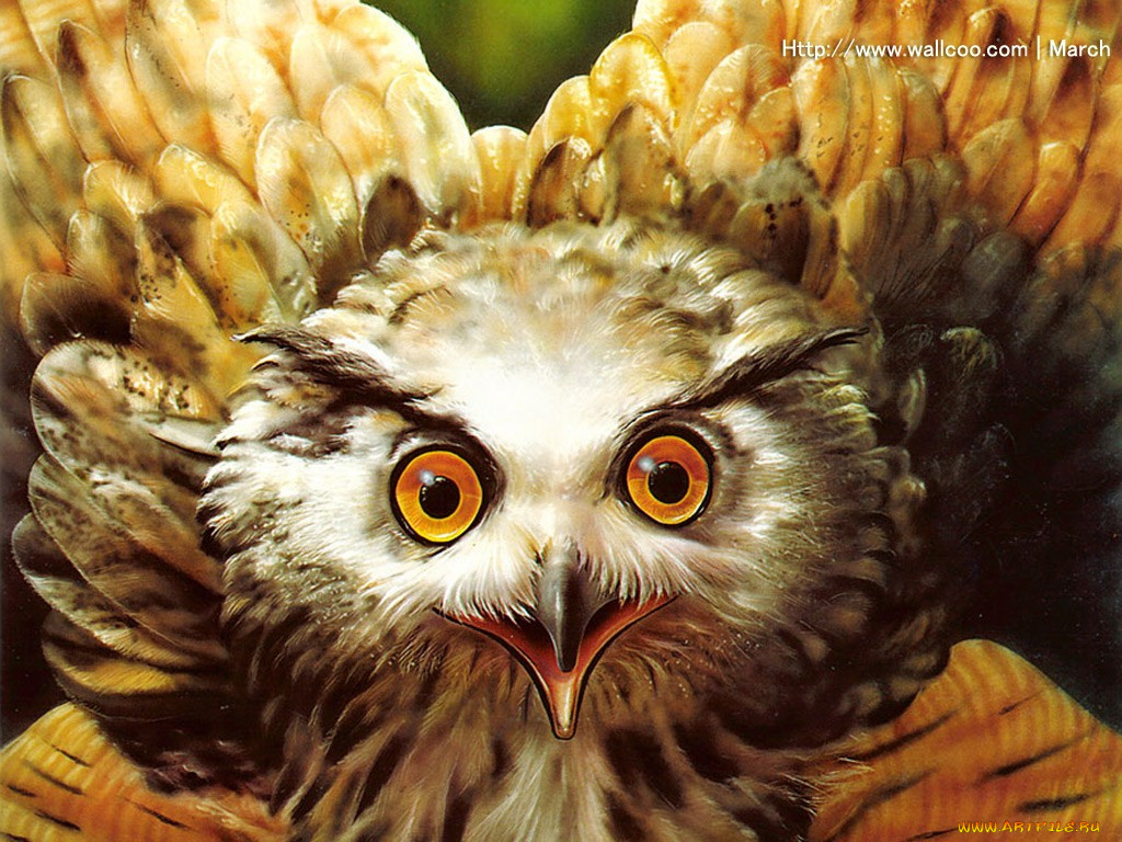 marcel, socias, рисованные