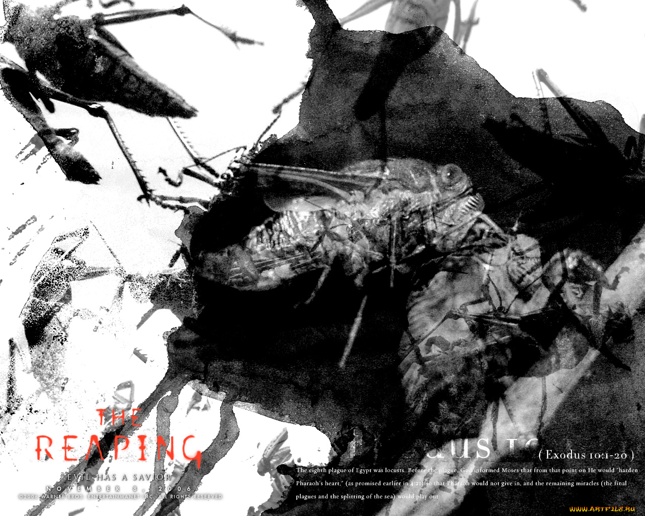 reaping, the, кино, фильмы