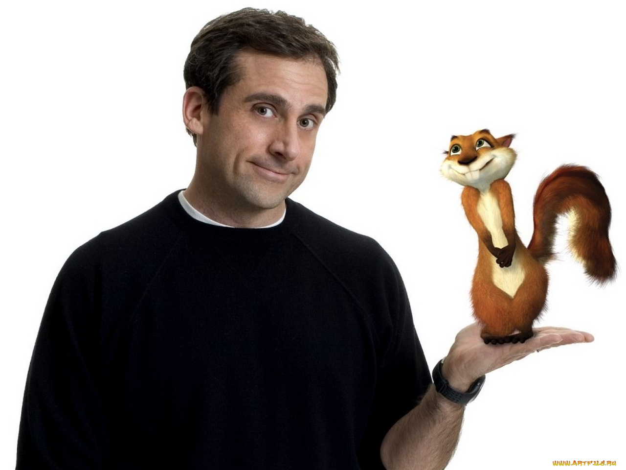 мультфильмы, over, the, hedge