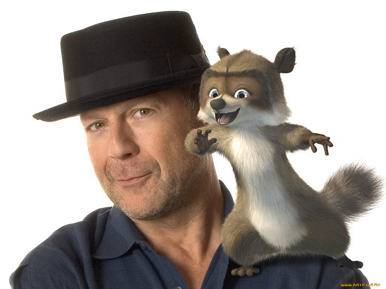 мультфильмы, over, the, hedge