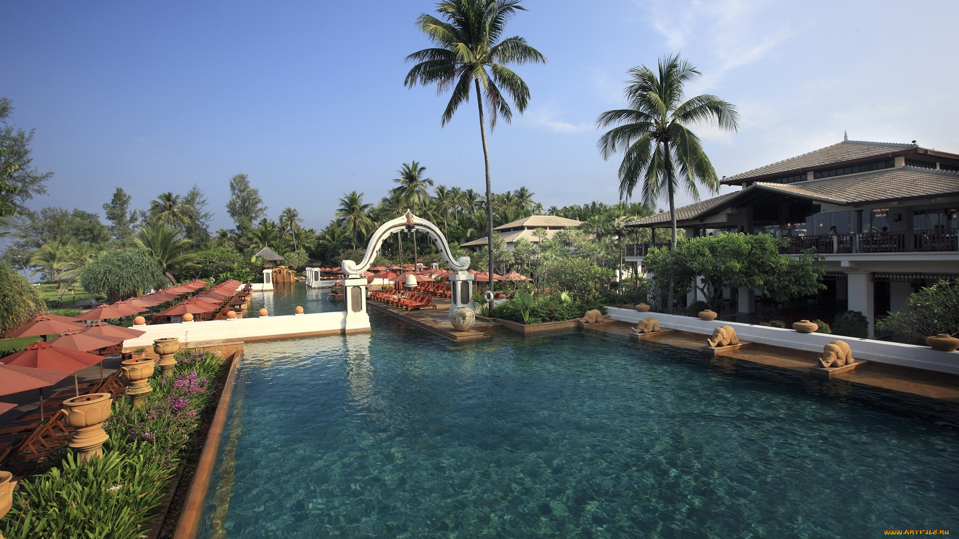 интерьер, бассейны, открытые, площадки, пальма, бассейн