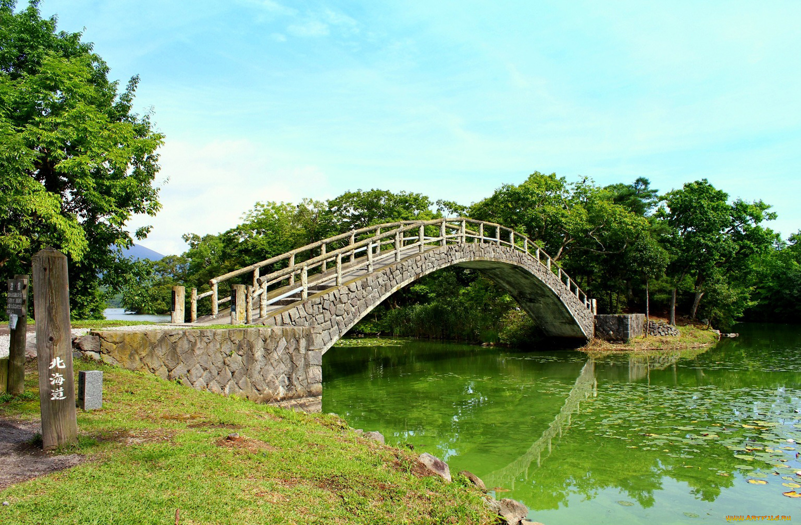 города, мосты, река, деревья, мост