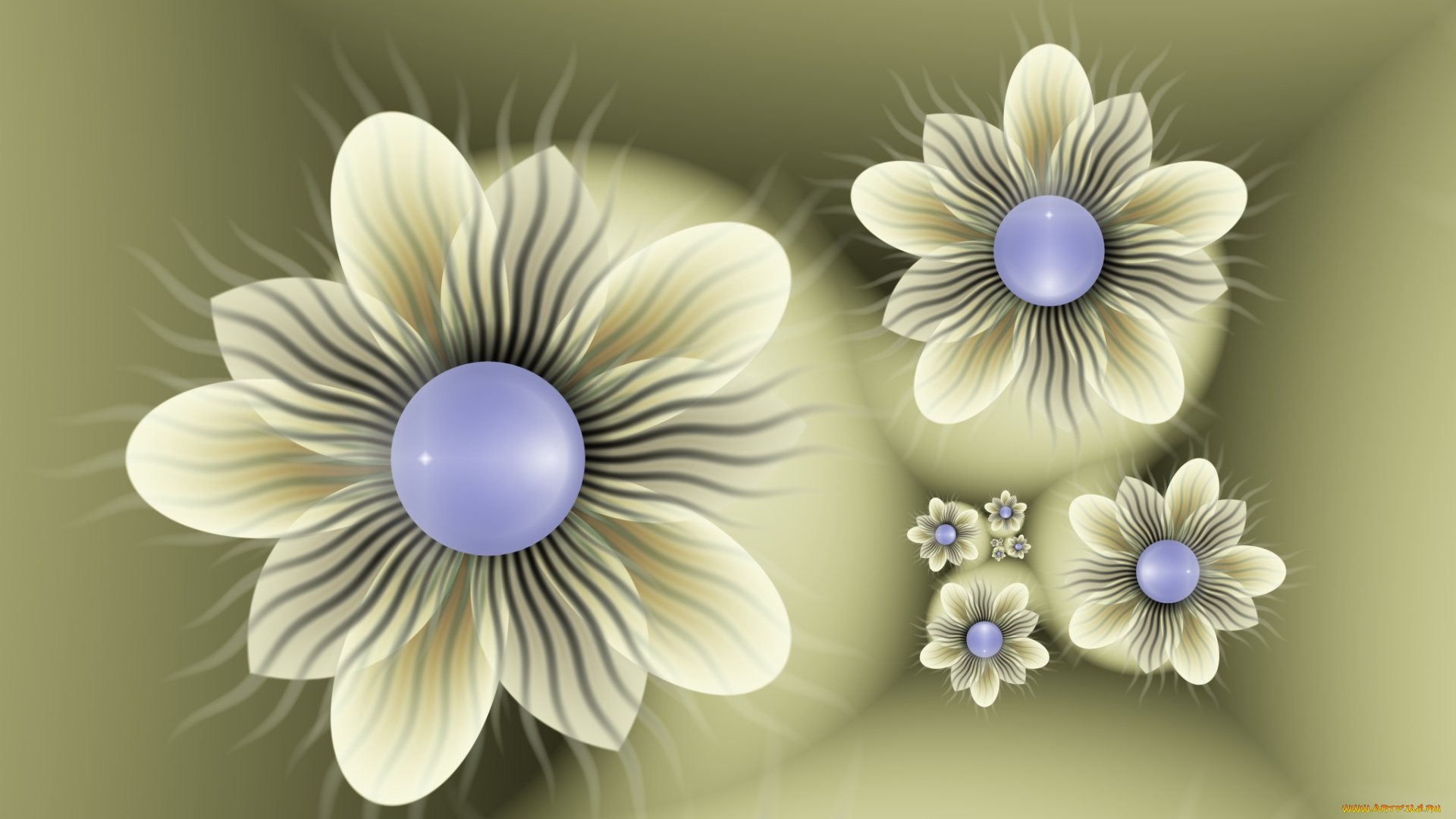 3д, графика, flowers, цветы, лепестки, фон, узор, цвета