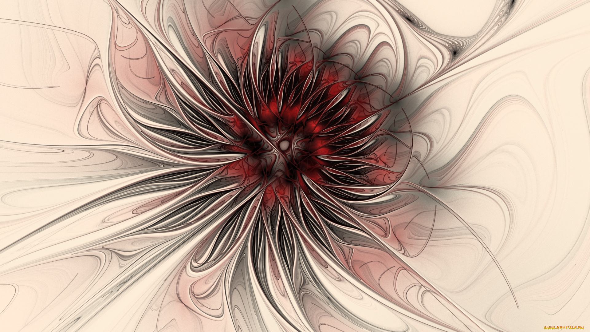 3д, графика, fractal, фракталы, узор, цвета, фон