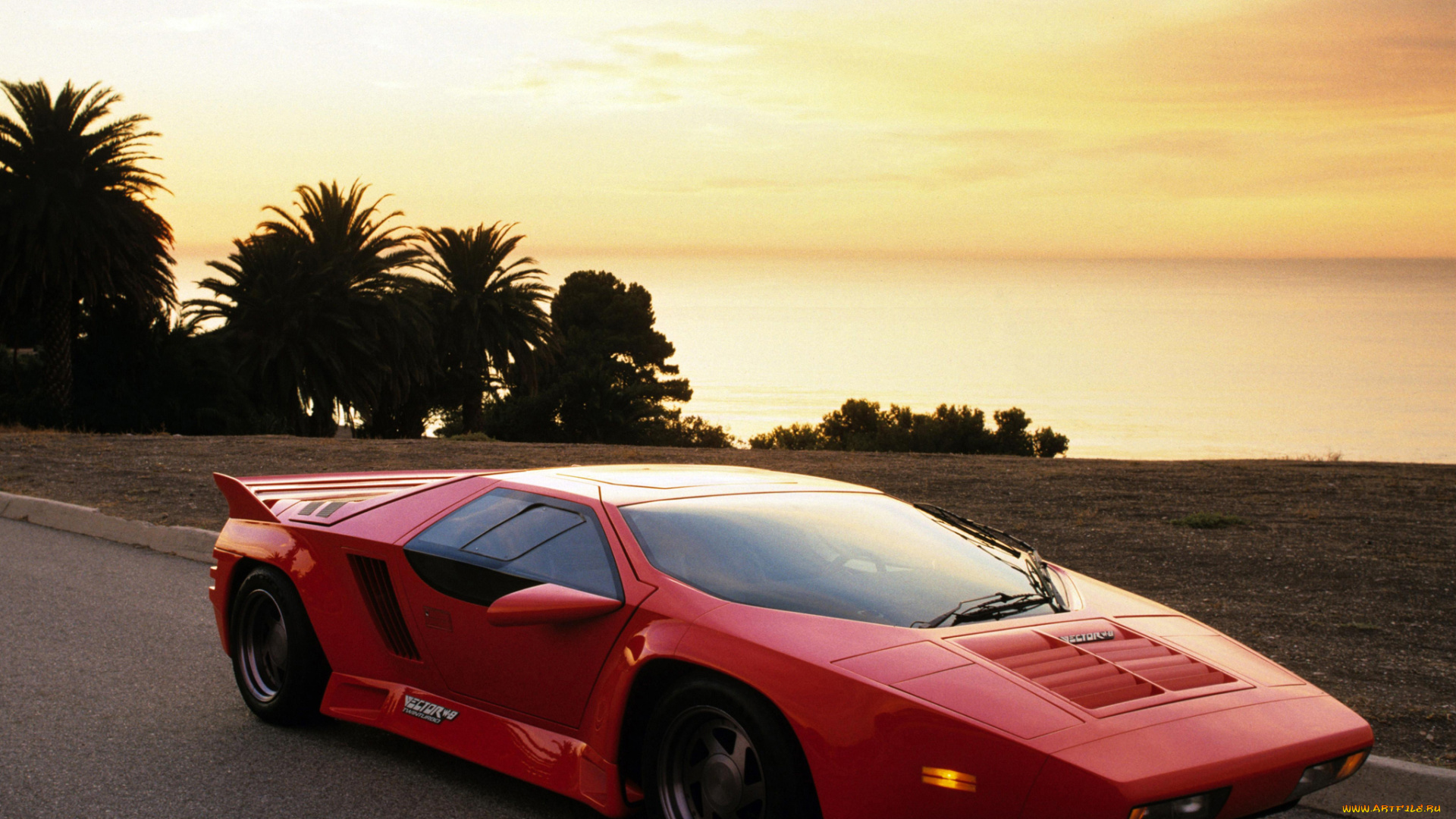 автомобили, vector