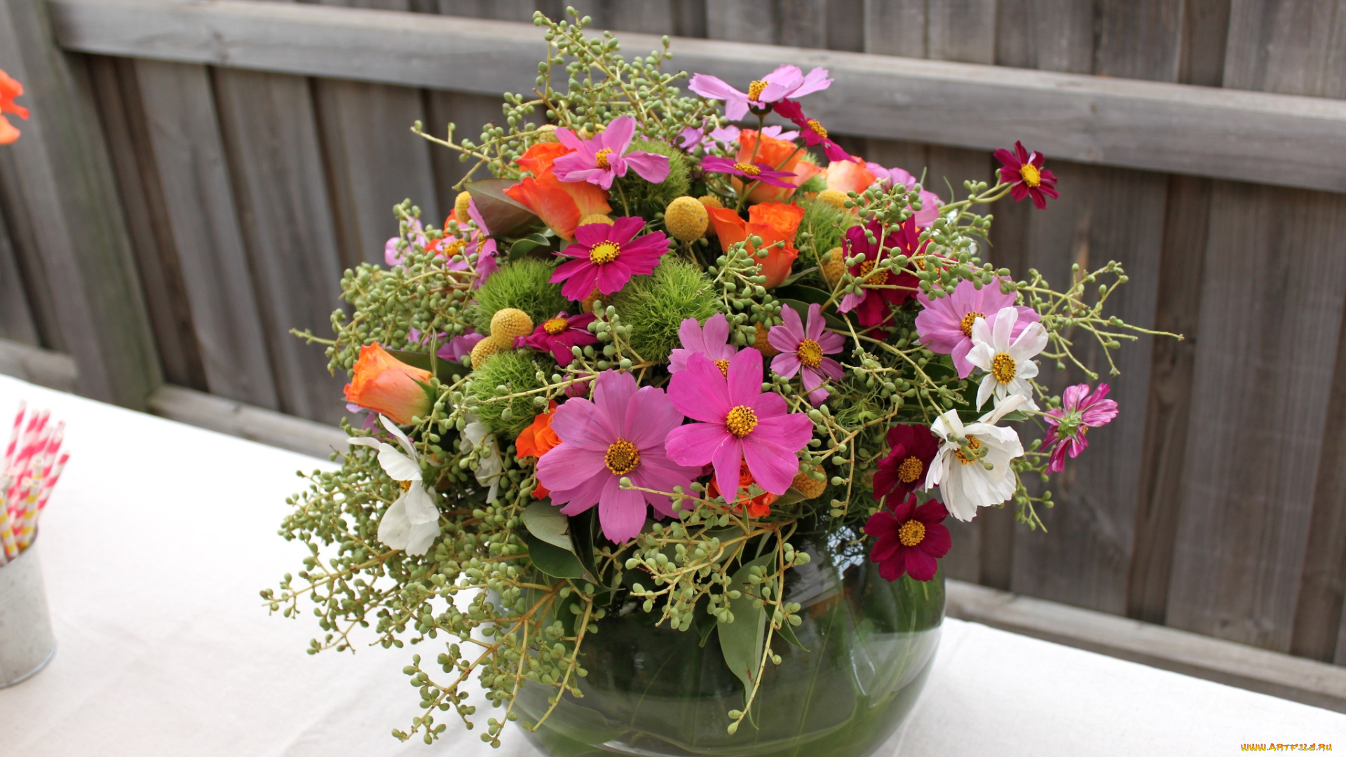 цветы, букеты, композиции, космея, розы