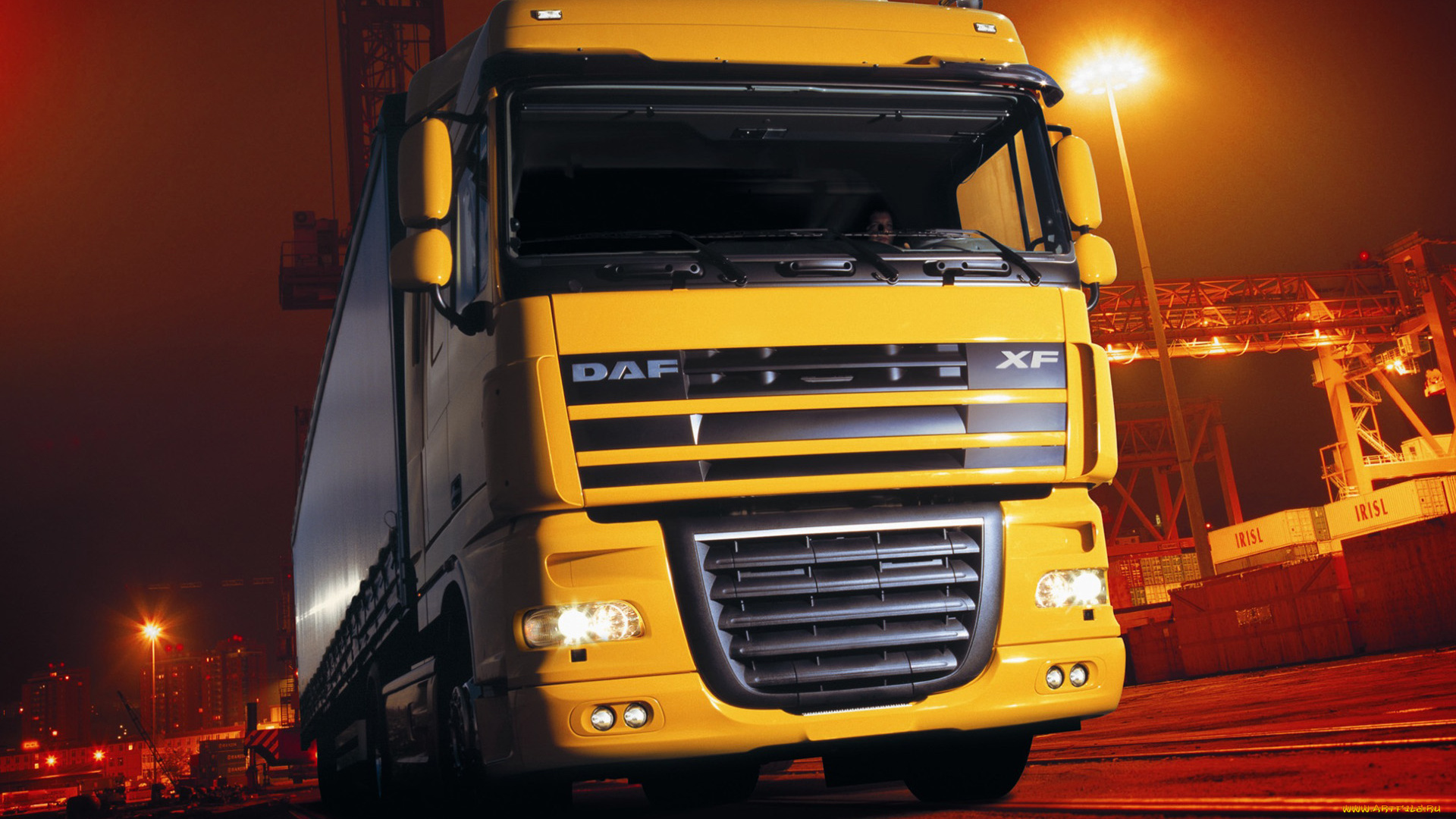 daf, xf, 105, автомобили, trucks, nv, седельные, тягачи, шасси, автобусы, нидерланды