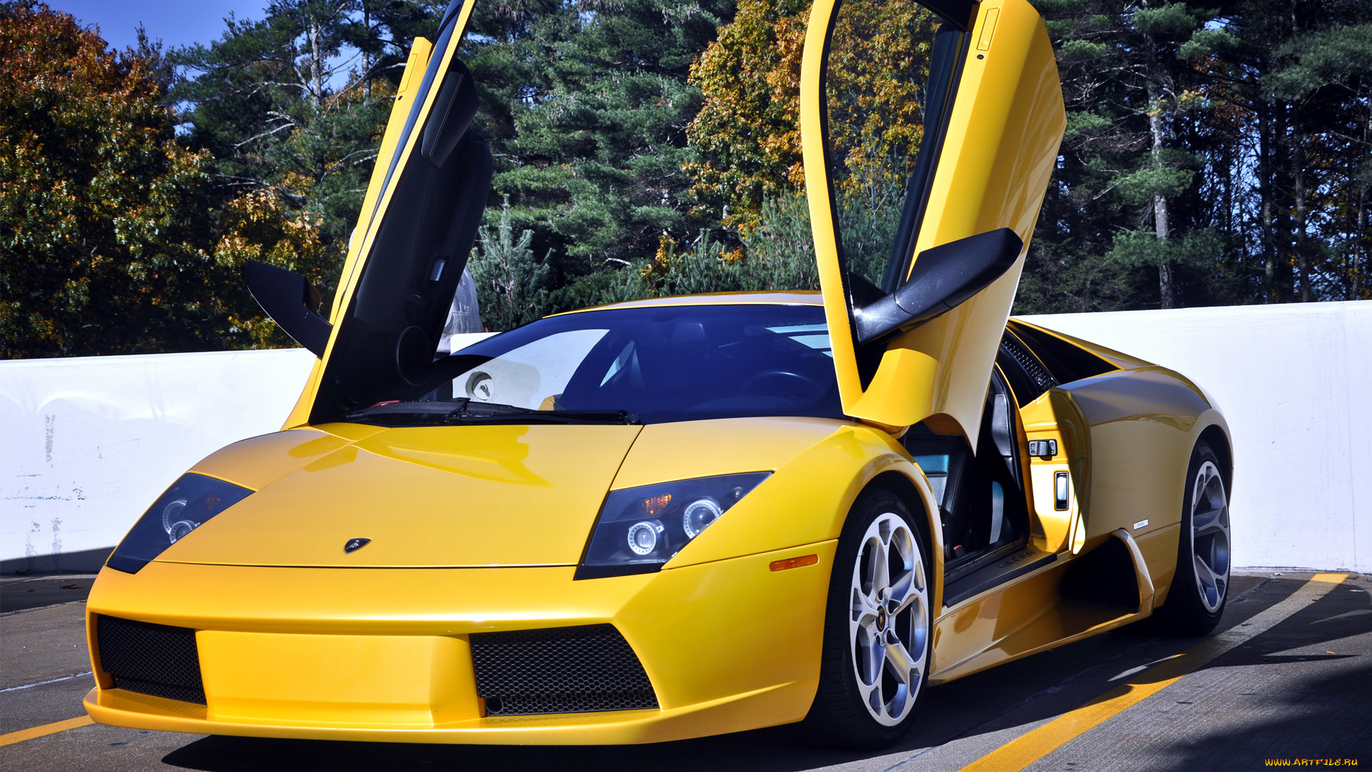 lamborghini, murcielago, автомобили, automobili, s, p, a, спортивные, италия