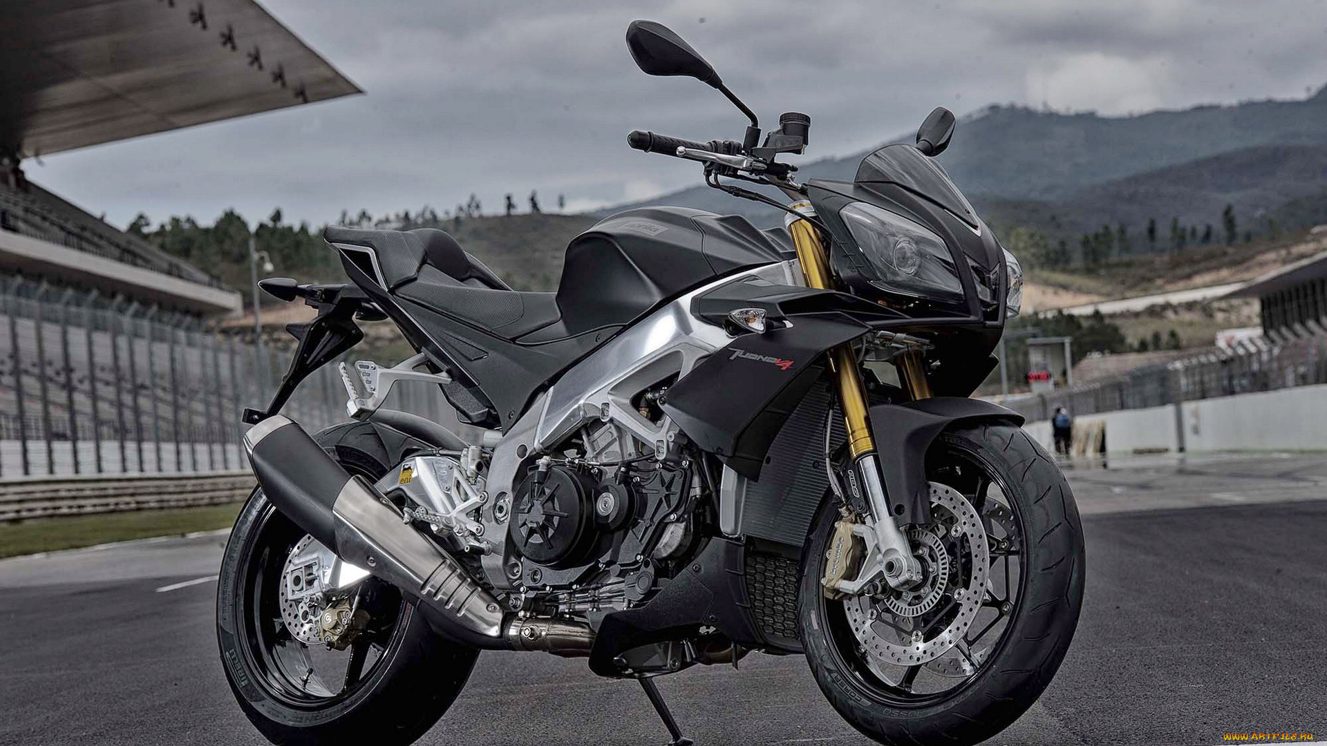 мотоциклы, aprilia, v4r, tuono