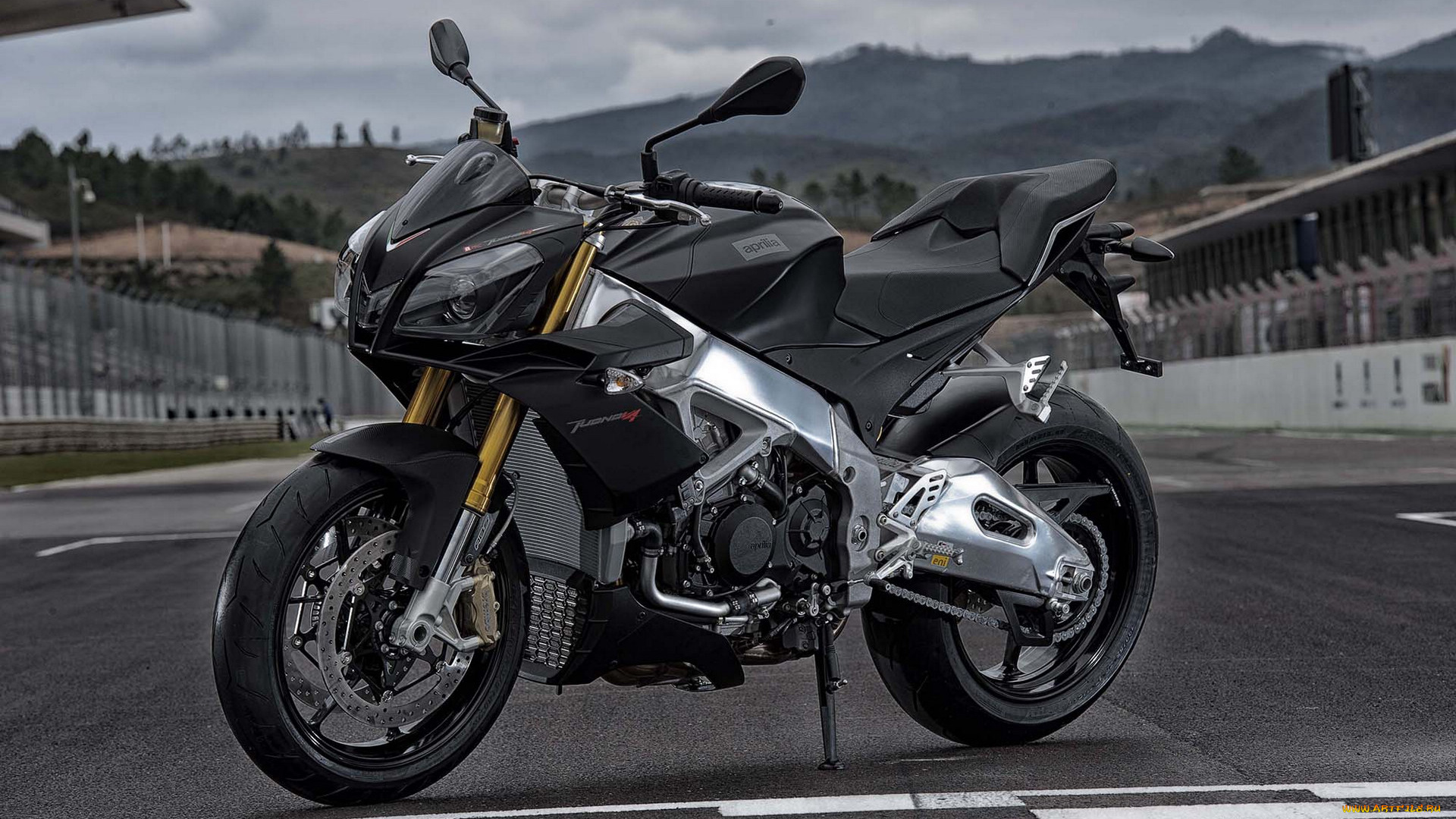 мотоциклы, aprilia, v4r, tuono