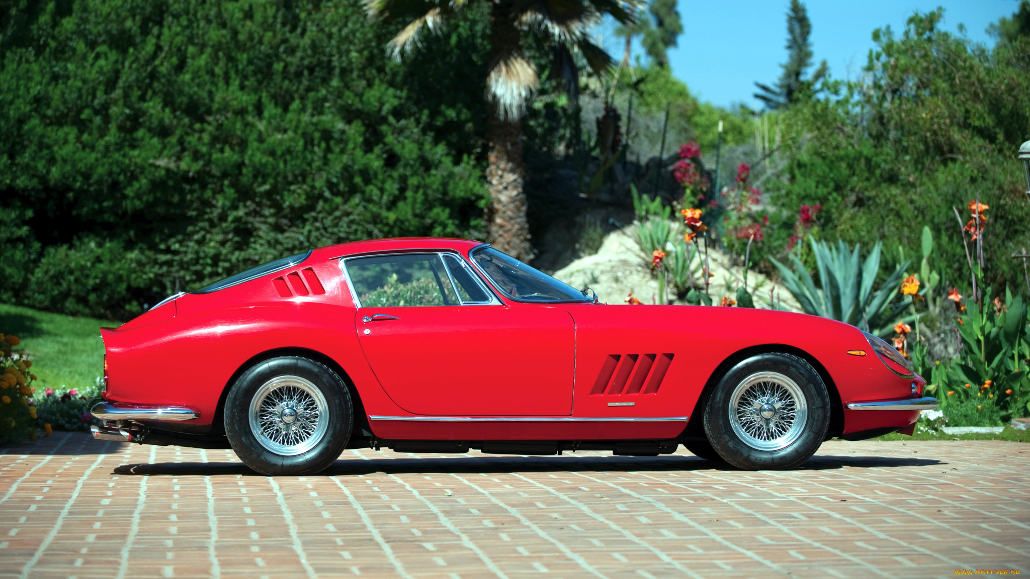 ferrari, 275, автомобили, гоночные, италия, s, p, a, спортивные