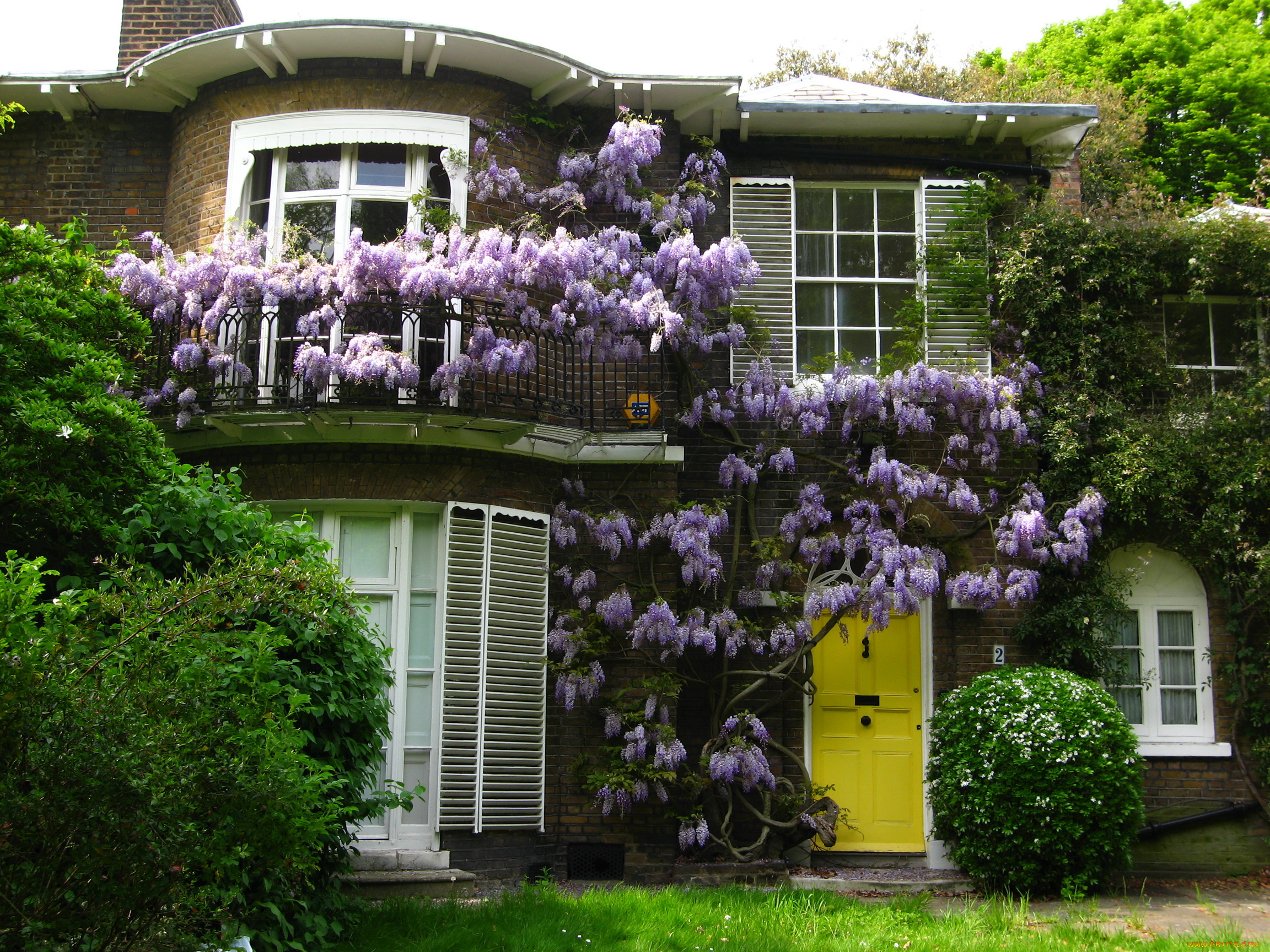 england, hampstead, города, здания, дома, кусты, цветы, дом