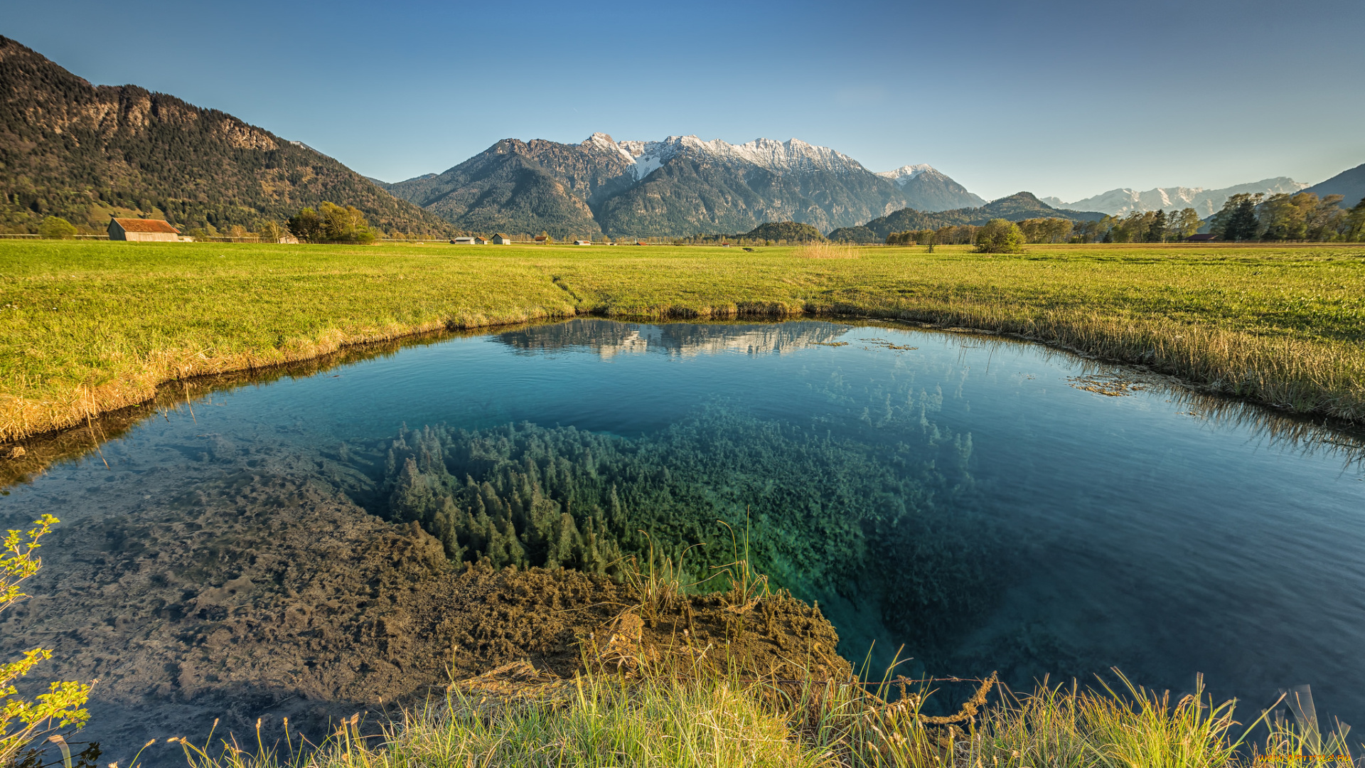 природа, реки, озера, лес, река