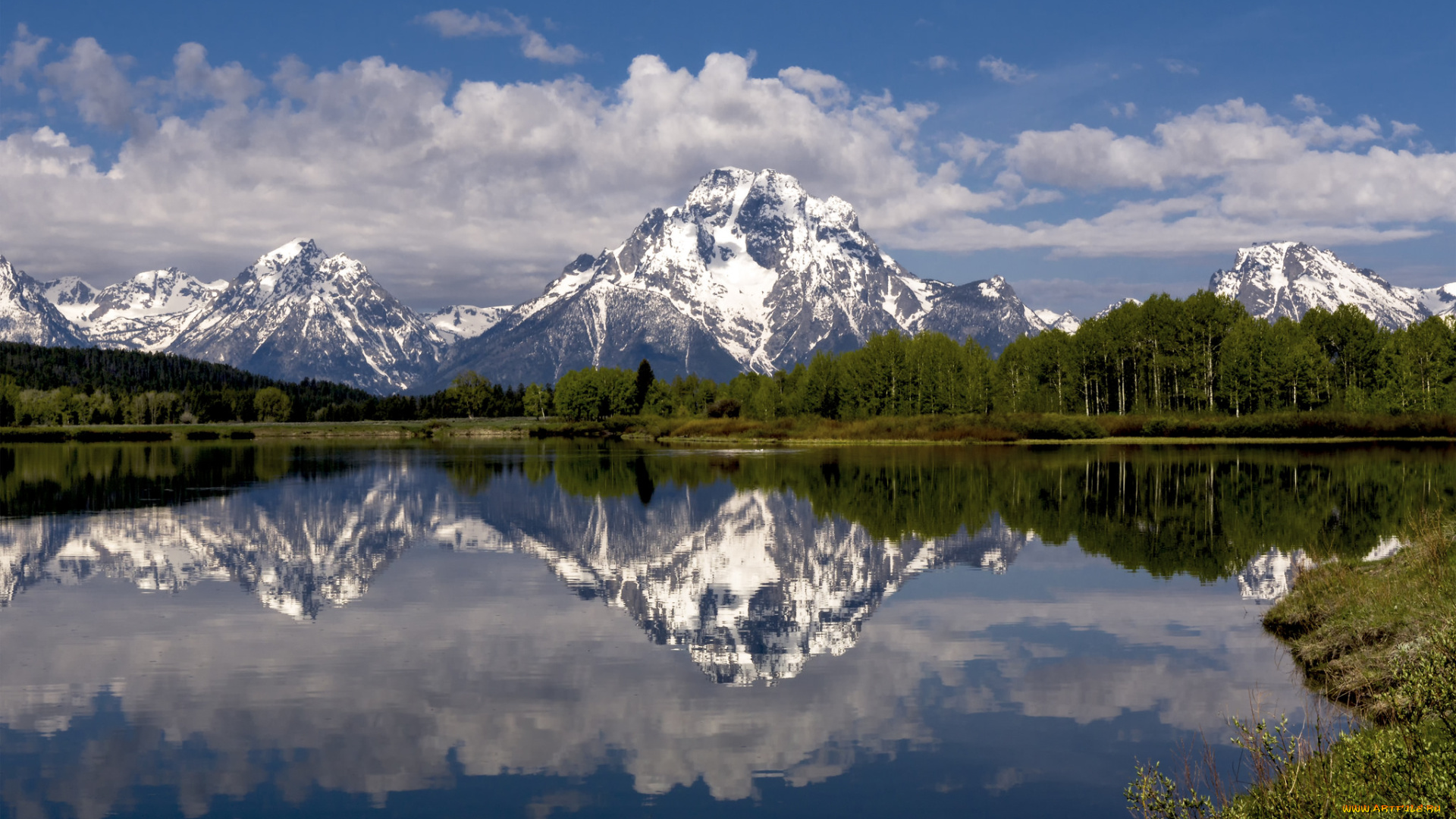 природа, реки, озера, лес, река