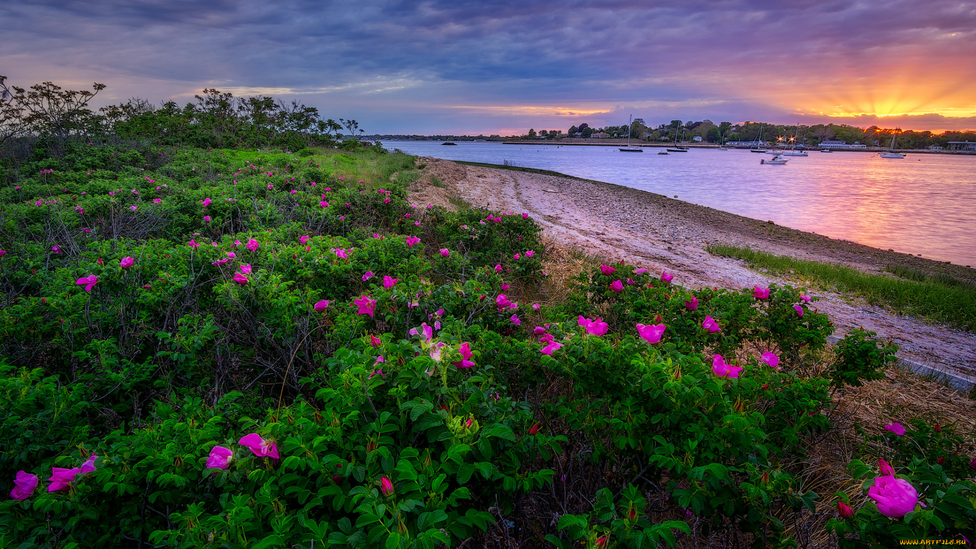 природа, реки, озера, лес, река