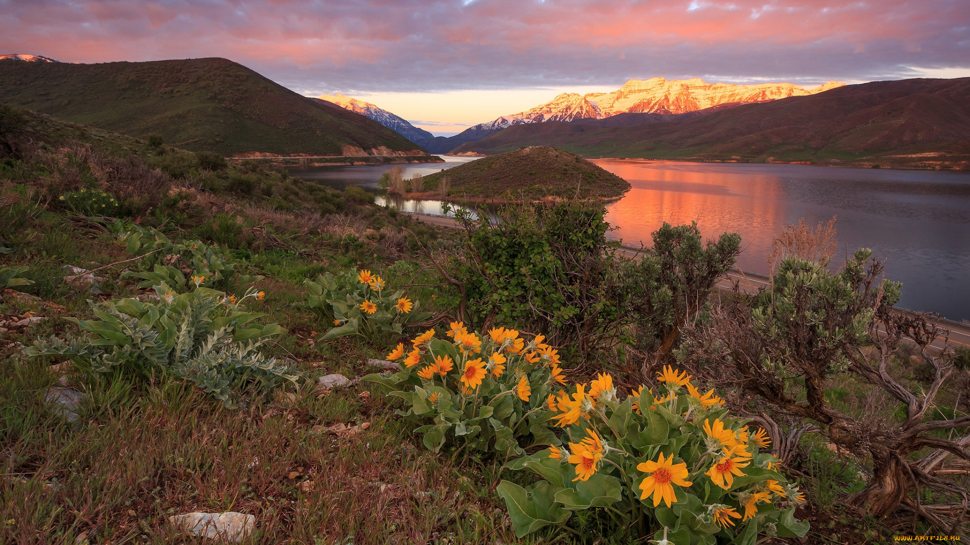 природа, реки, озера, река, лес