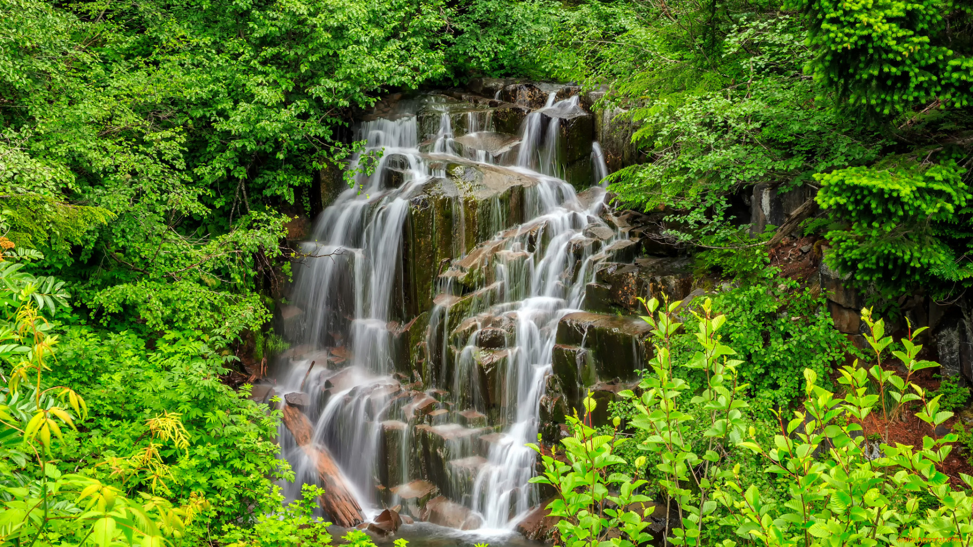 природа, водопады, лес, река, водопад