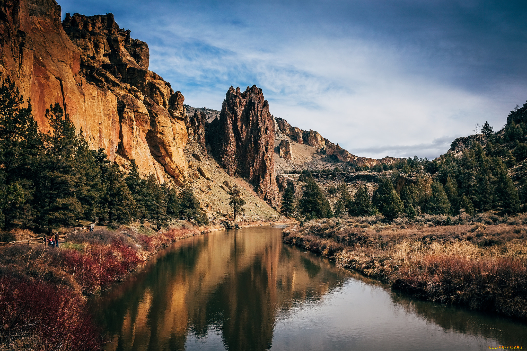 природа, реки, озера, лес, река