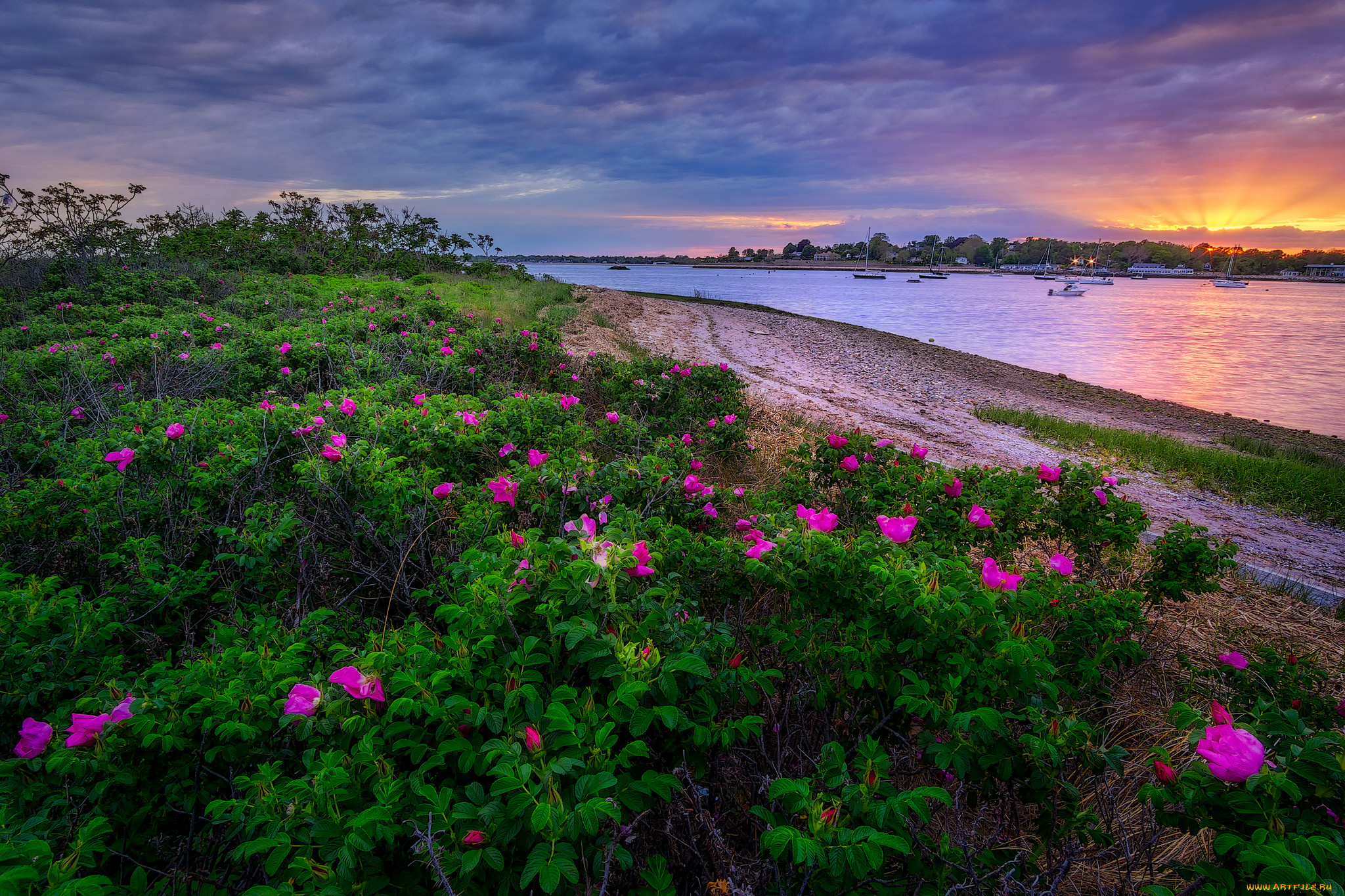 природа, реки, озера, лес, река