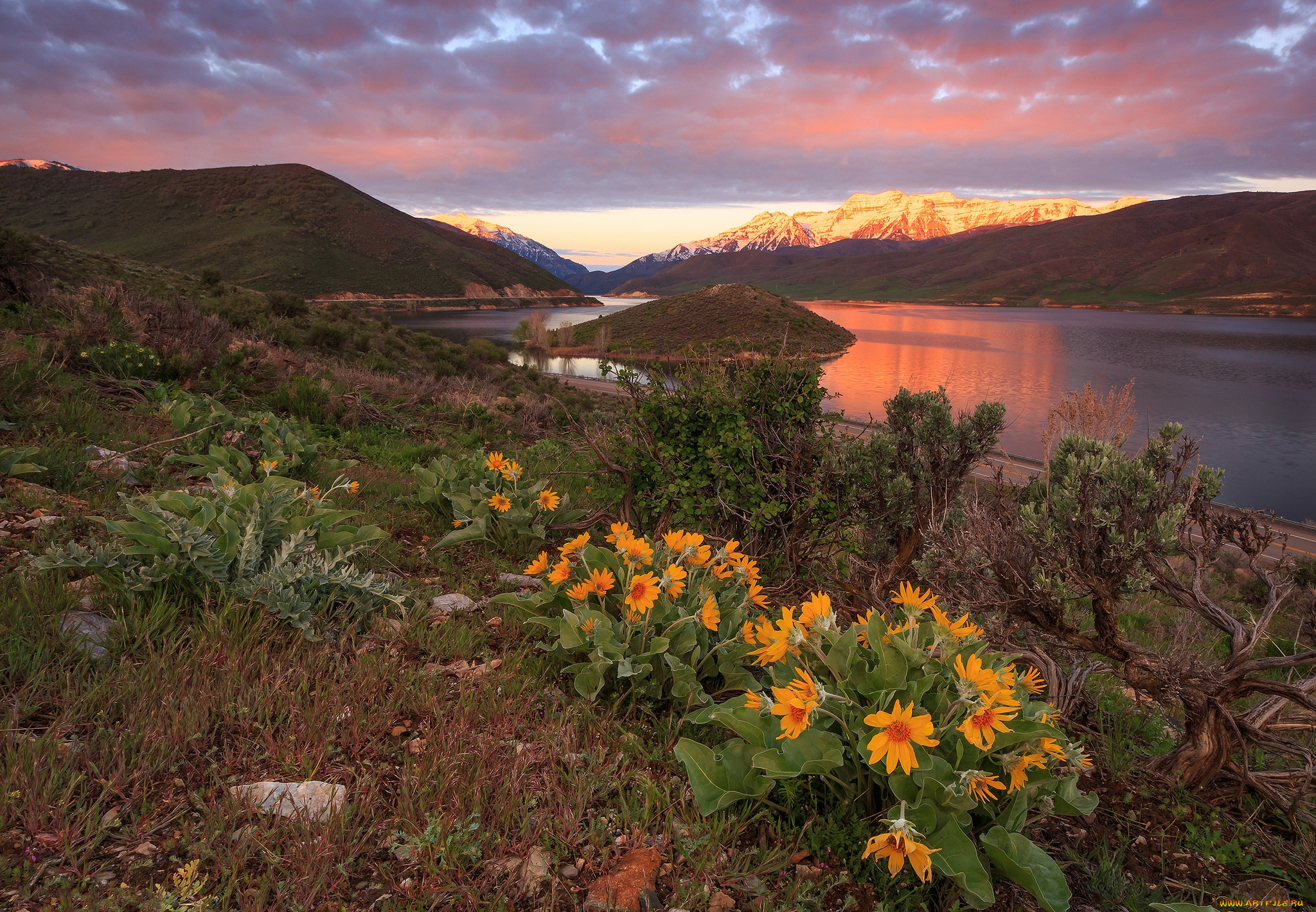 природа, реки, озера, река, лес