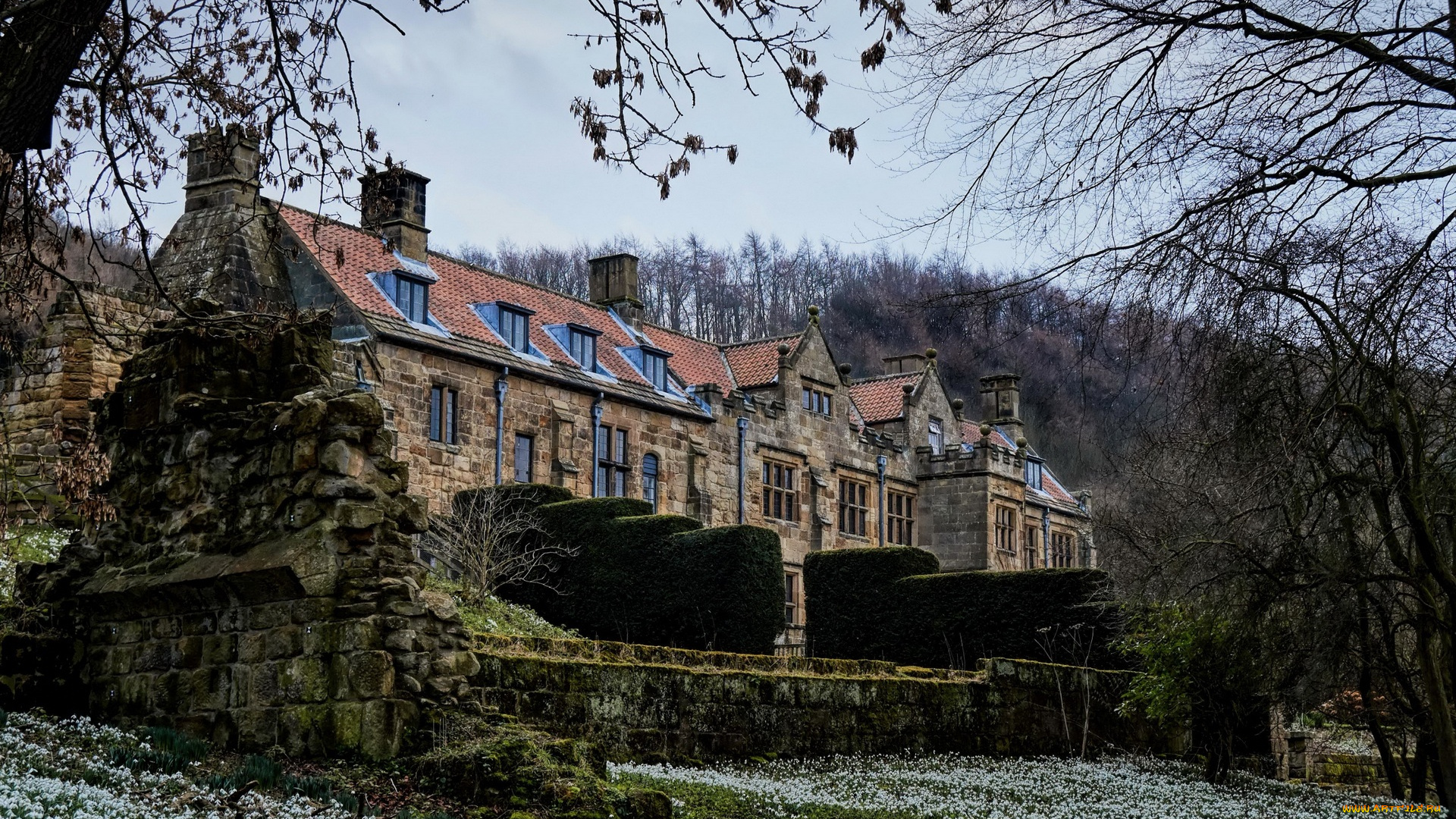 англия, города, -, здания, , дома, деревья, камни, кустарники, цветы