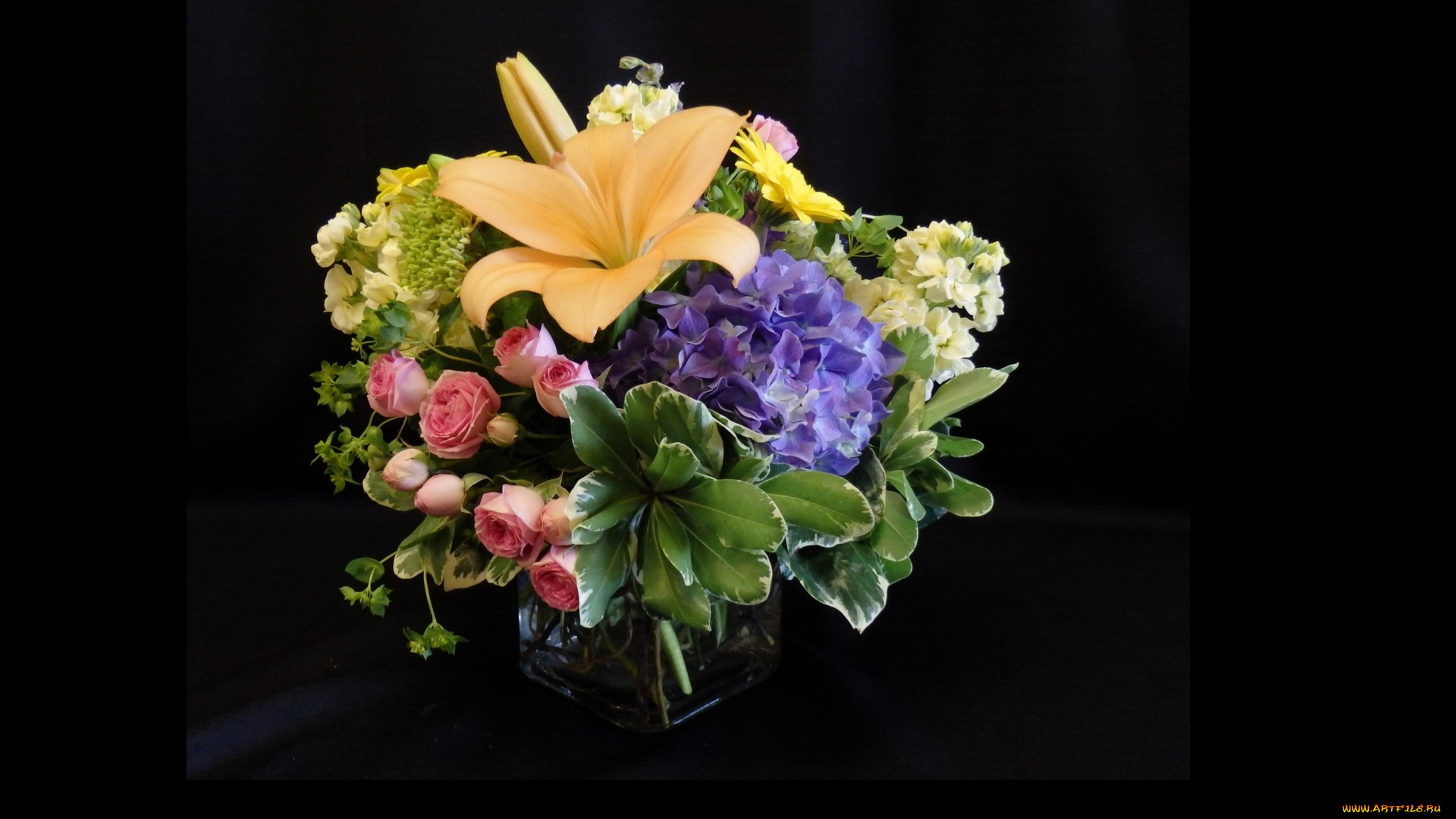 цветы, букеты, , композиции, черный, фон