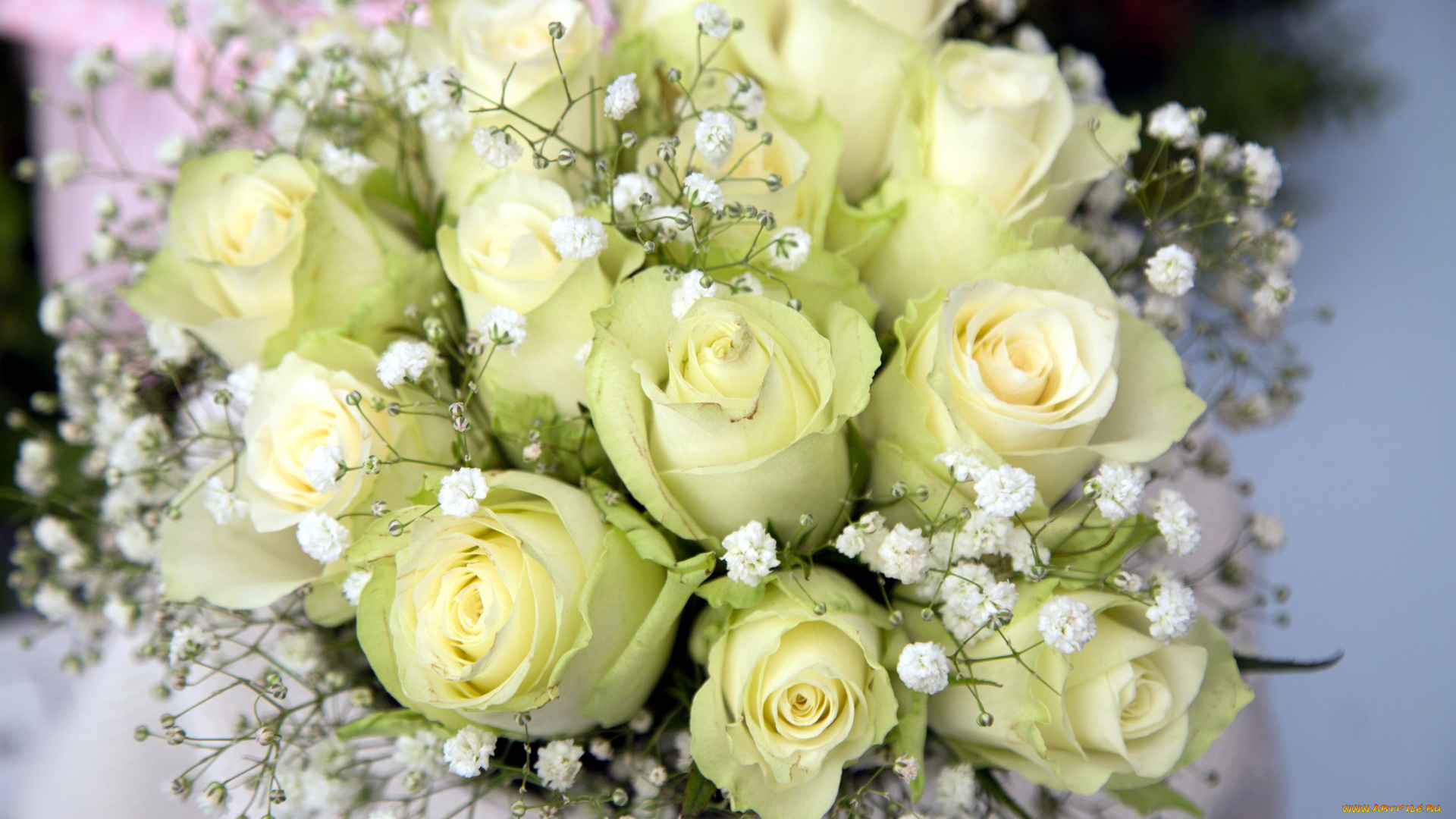 цветы, букеты, , композиции, гипсофила, розы, бутоны