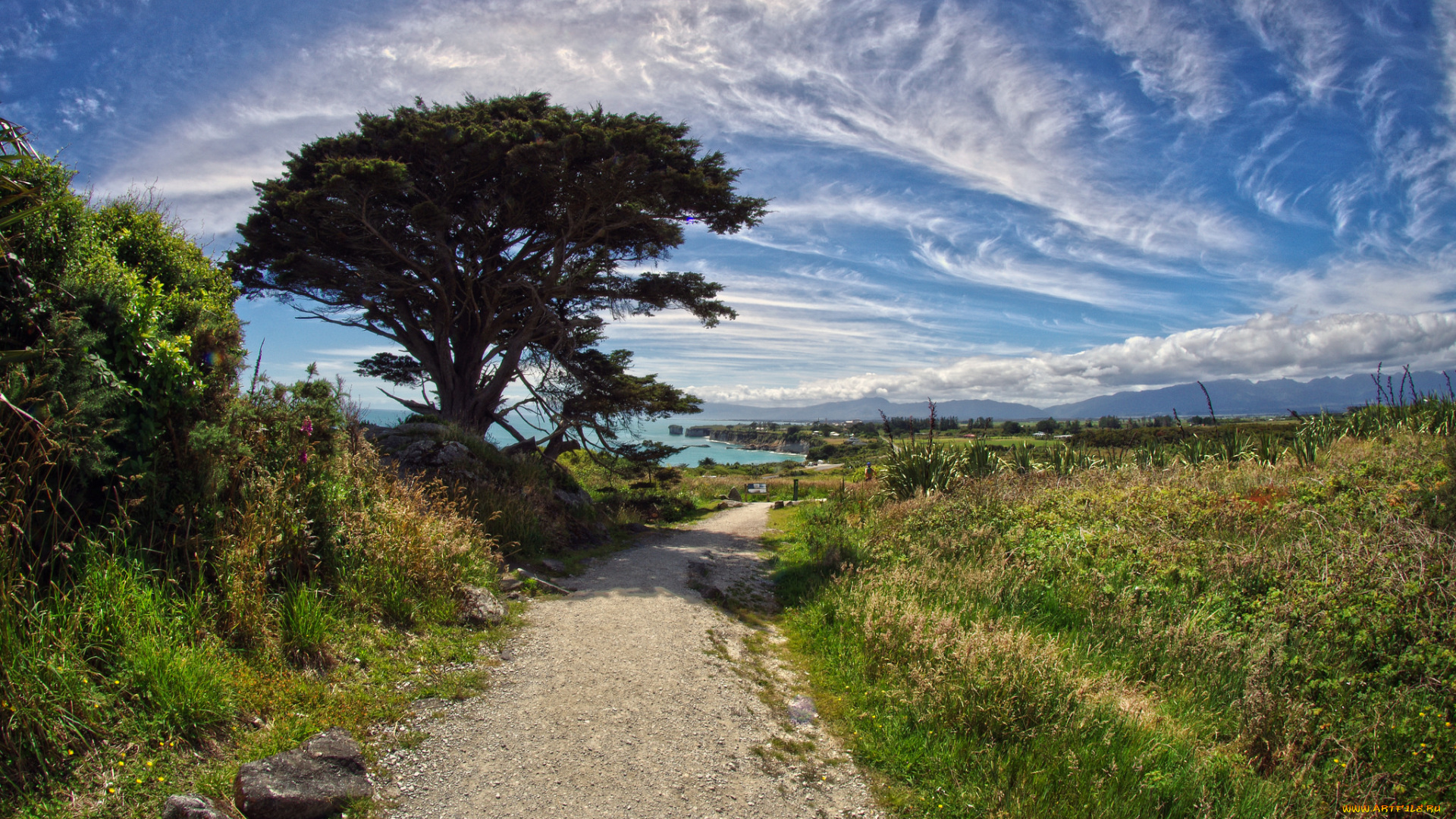 природа, дороги, река, лес