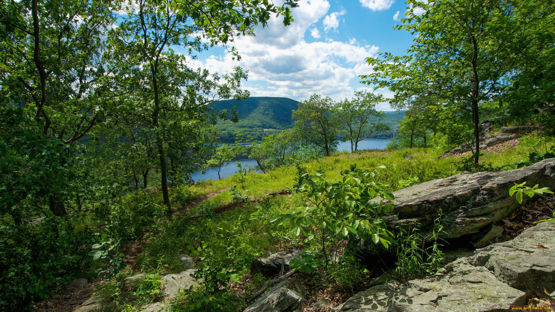 природа, реки, озера, простор