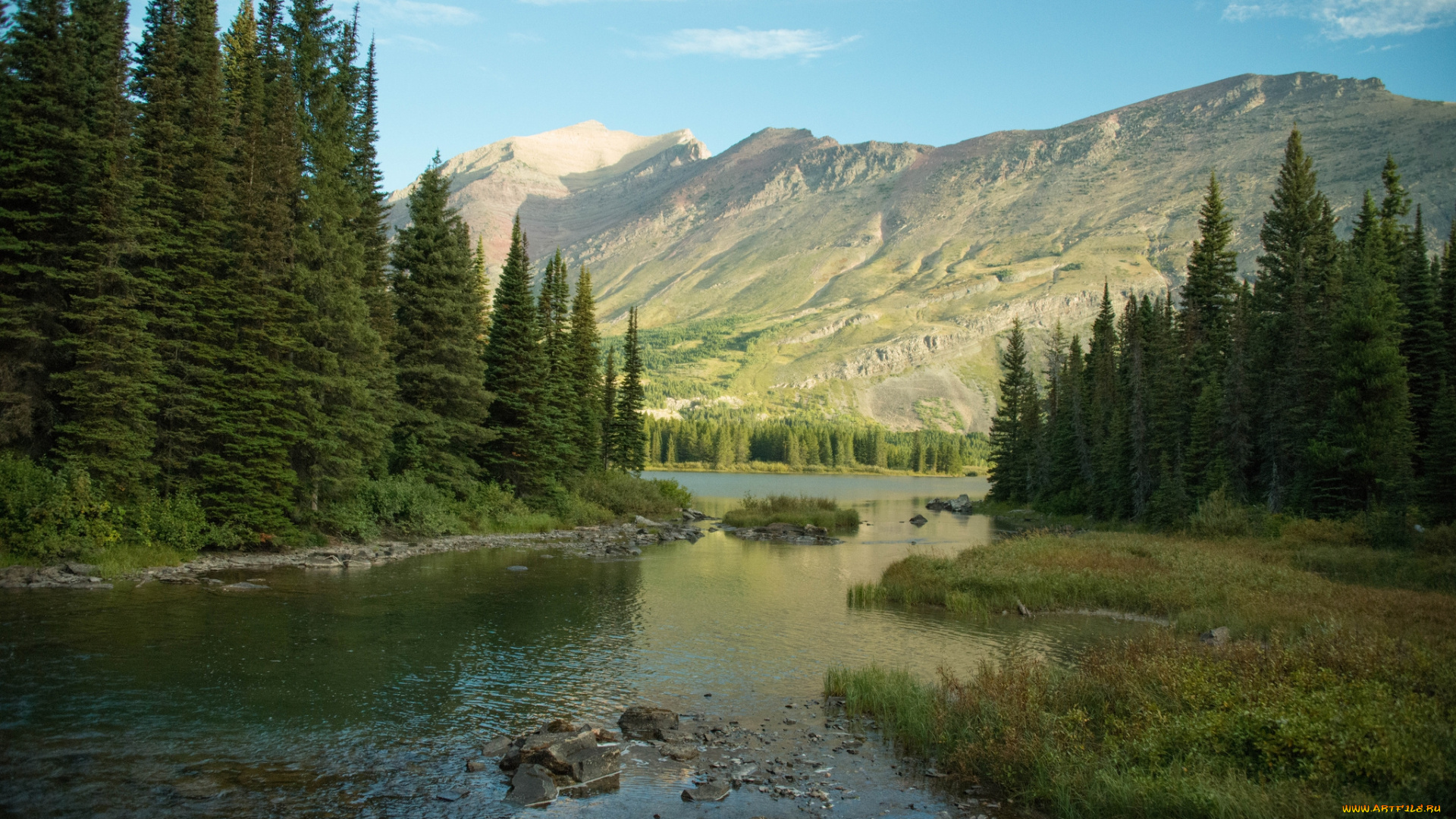 природа, реки, озера, река, лес