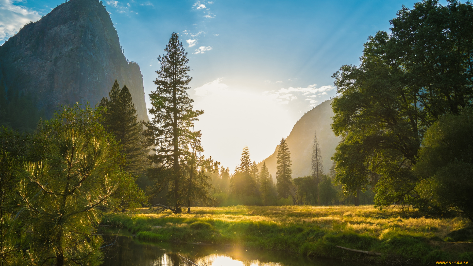 природа, реки, озера, река, лес