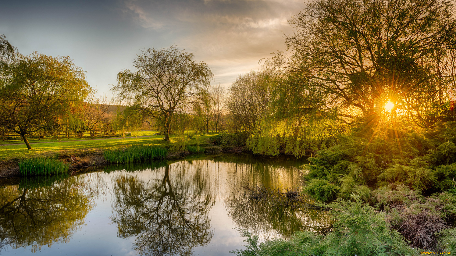 природа, реки, озера, река, лес